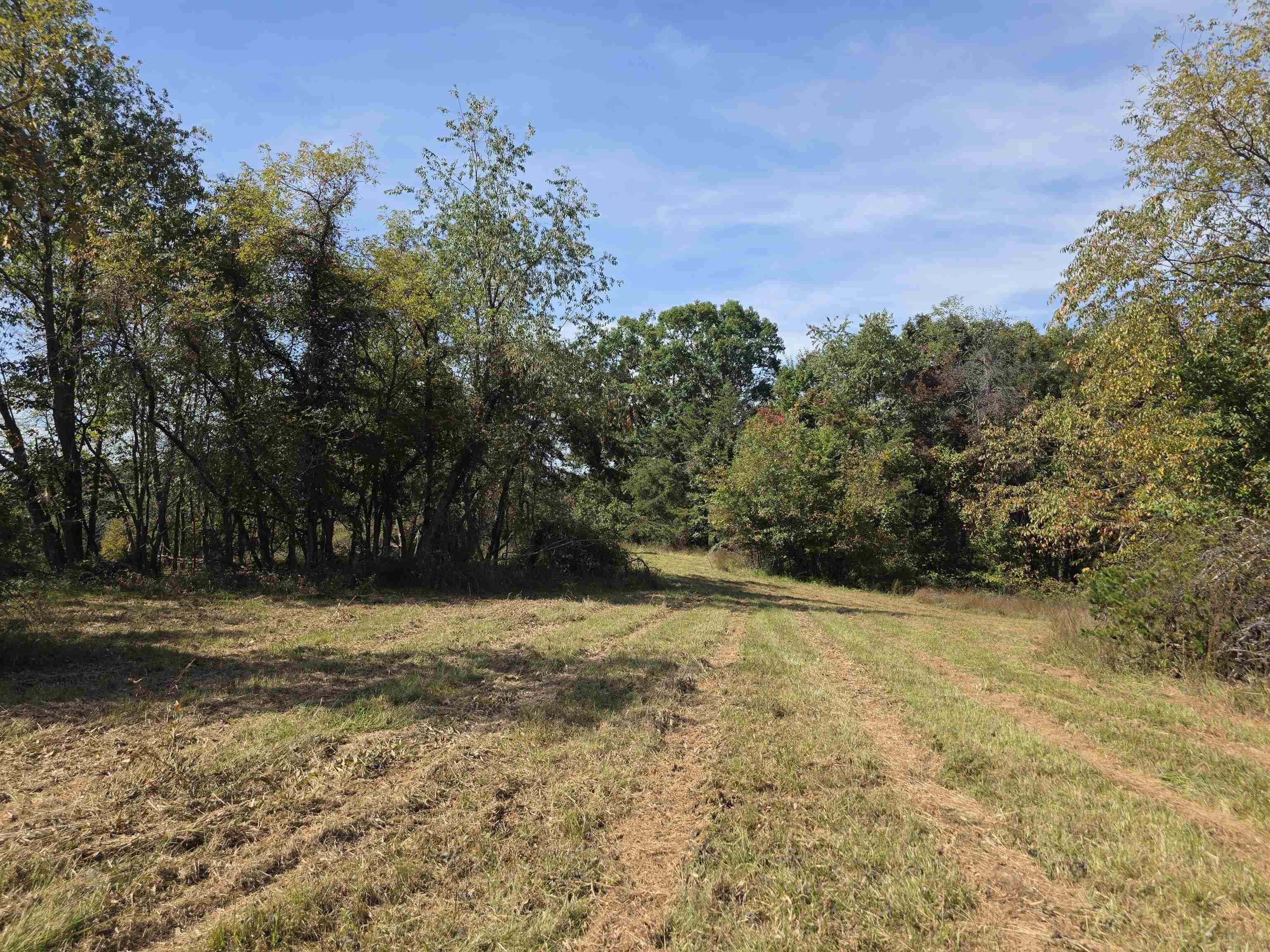 Tbd Ridge Road Check VA 24072