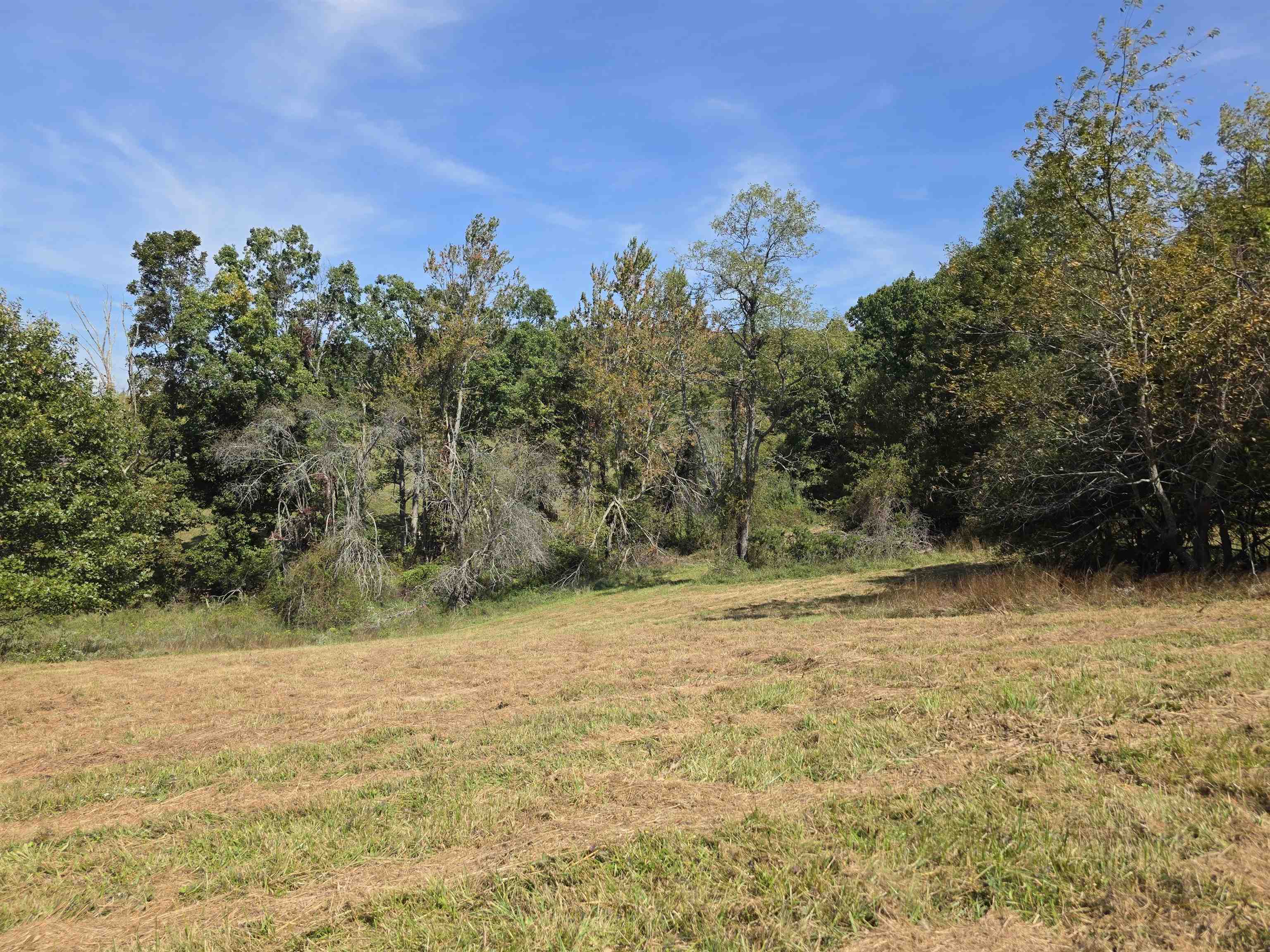 Tbd Ridge Road Check VA 24072