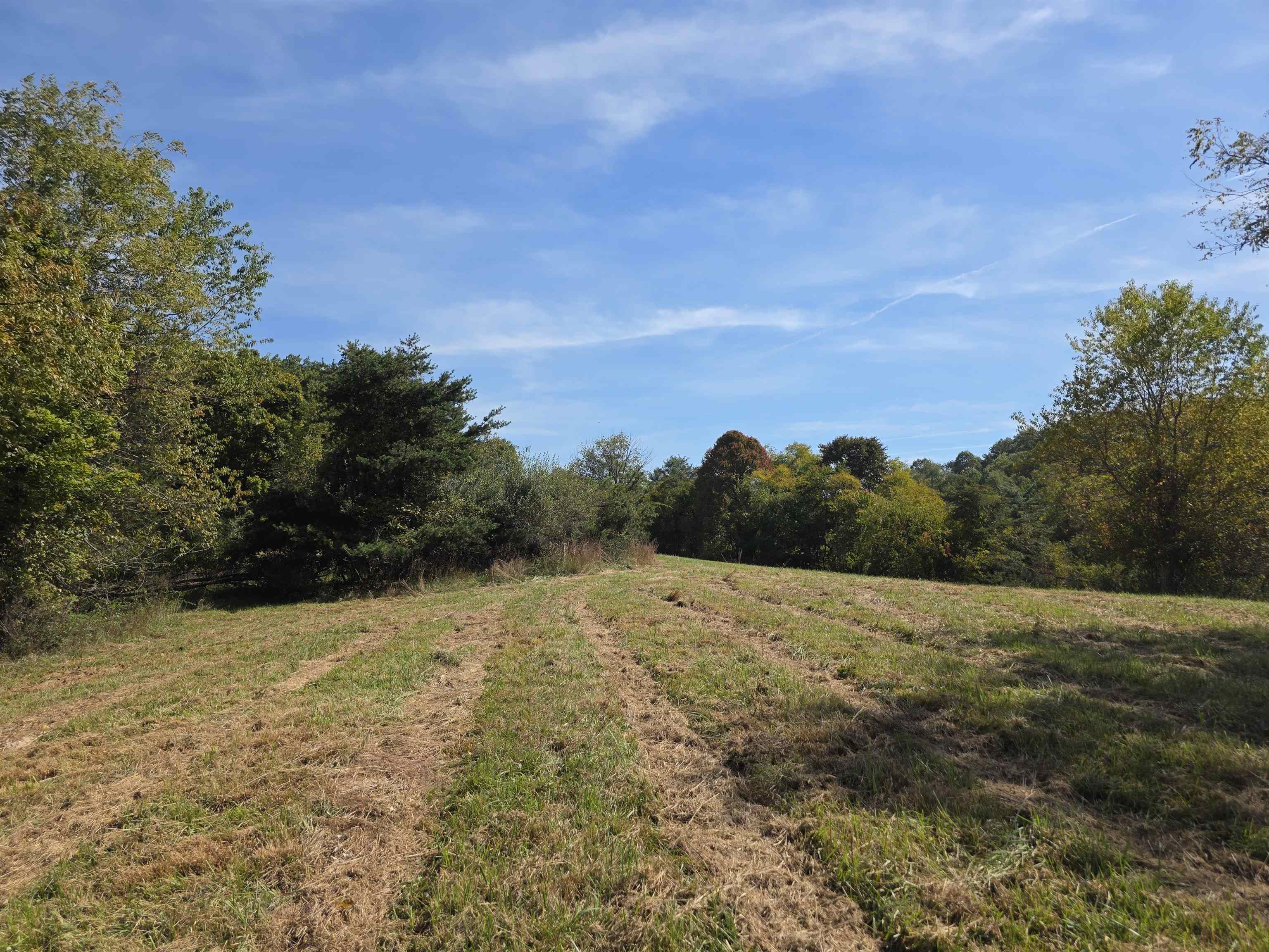 Tbd Ridge Road Check VA 24072