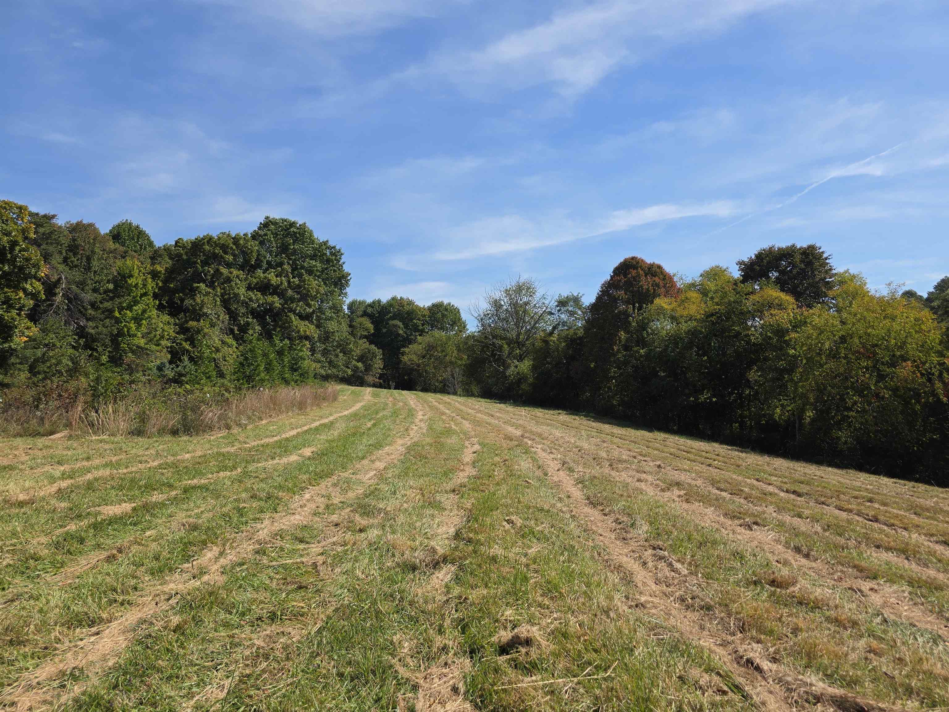Tbd Ridge Road Check VA 24072