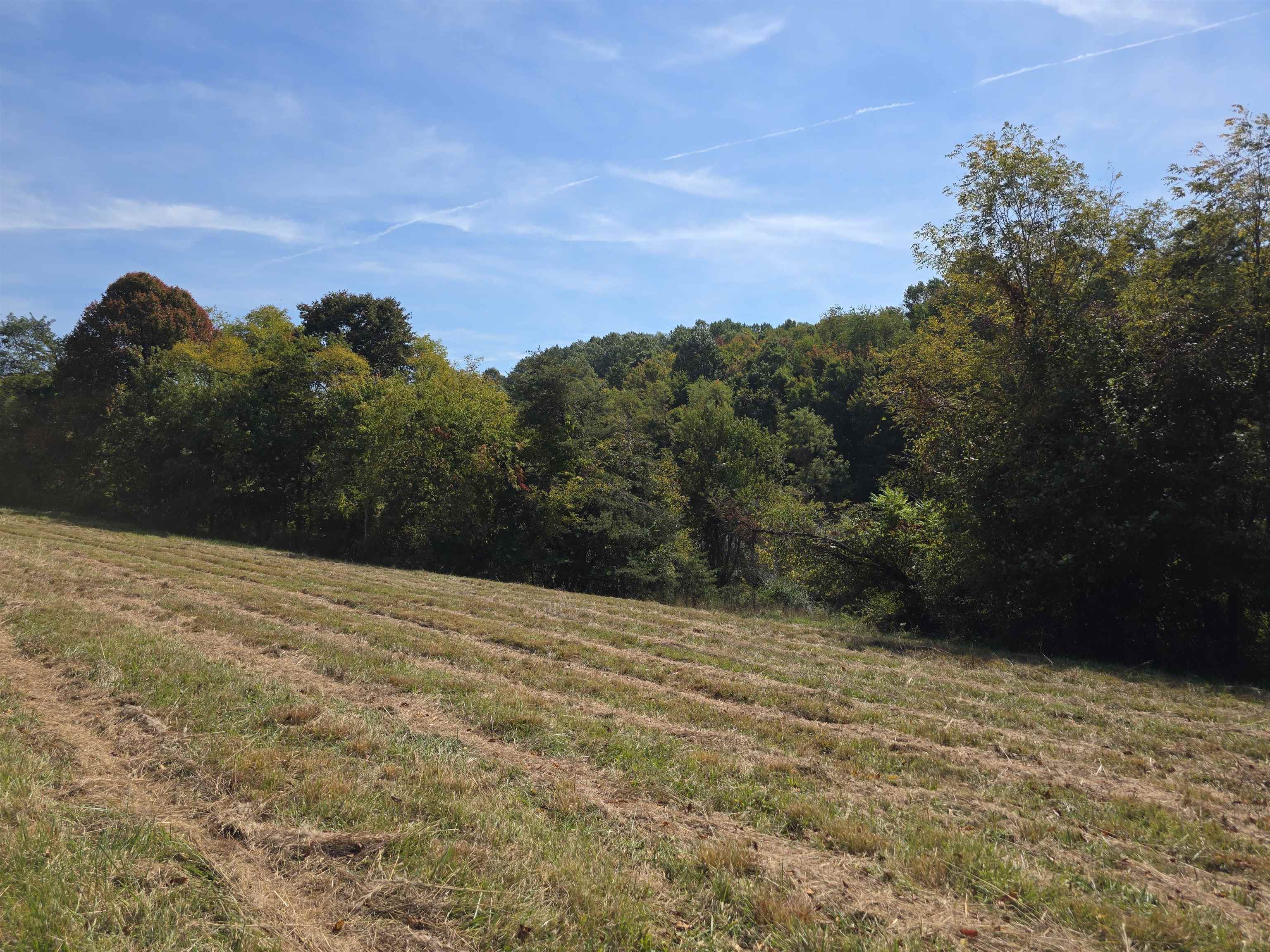 Tbd Ridge Road Check VA 24072