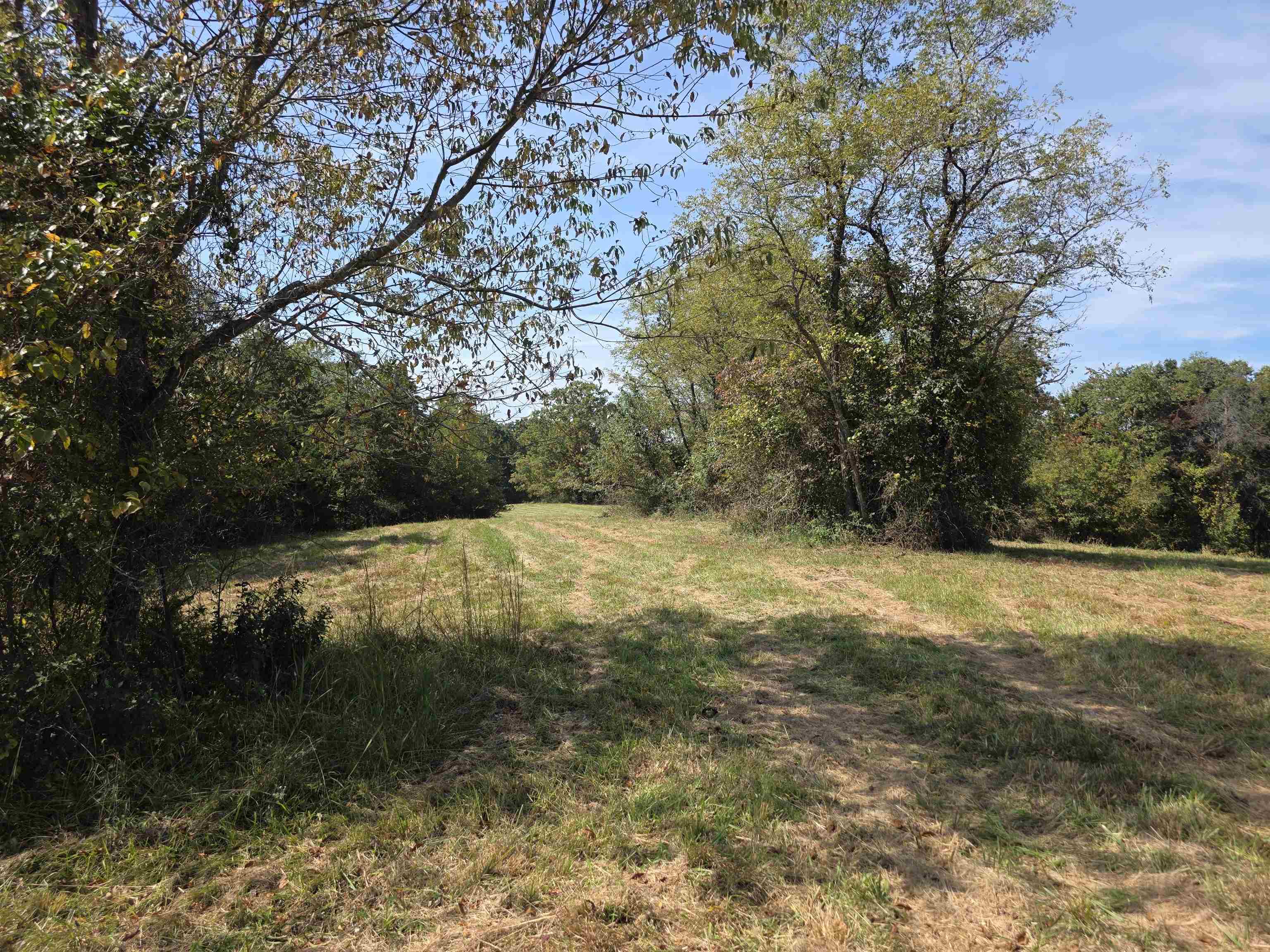 Tbd Ridge Road Check VA 24072