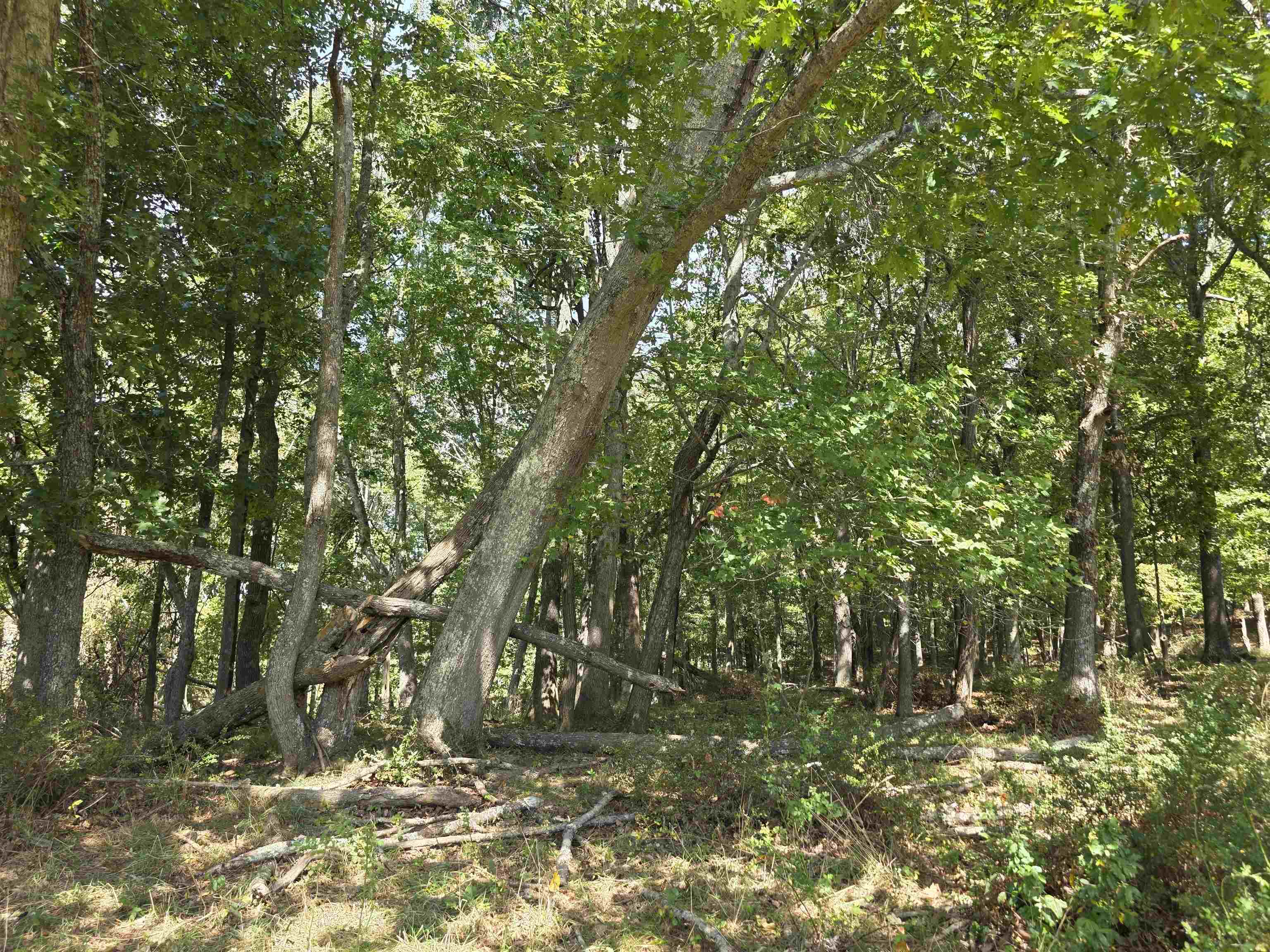 Tbd Ridge Road Check VA 24072