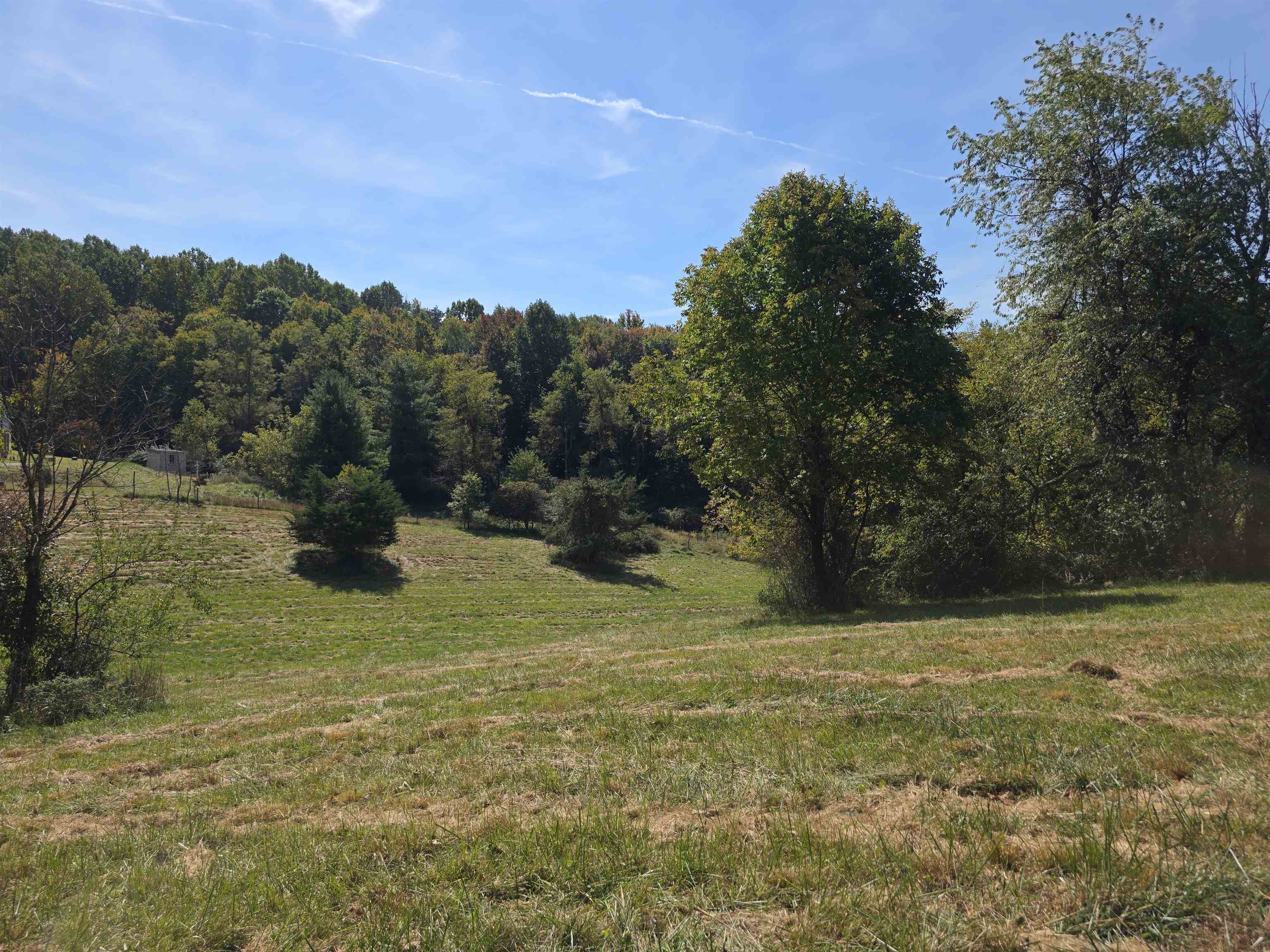 Tbd Ridge Road Check VA 24072