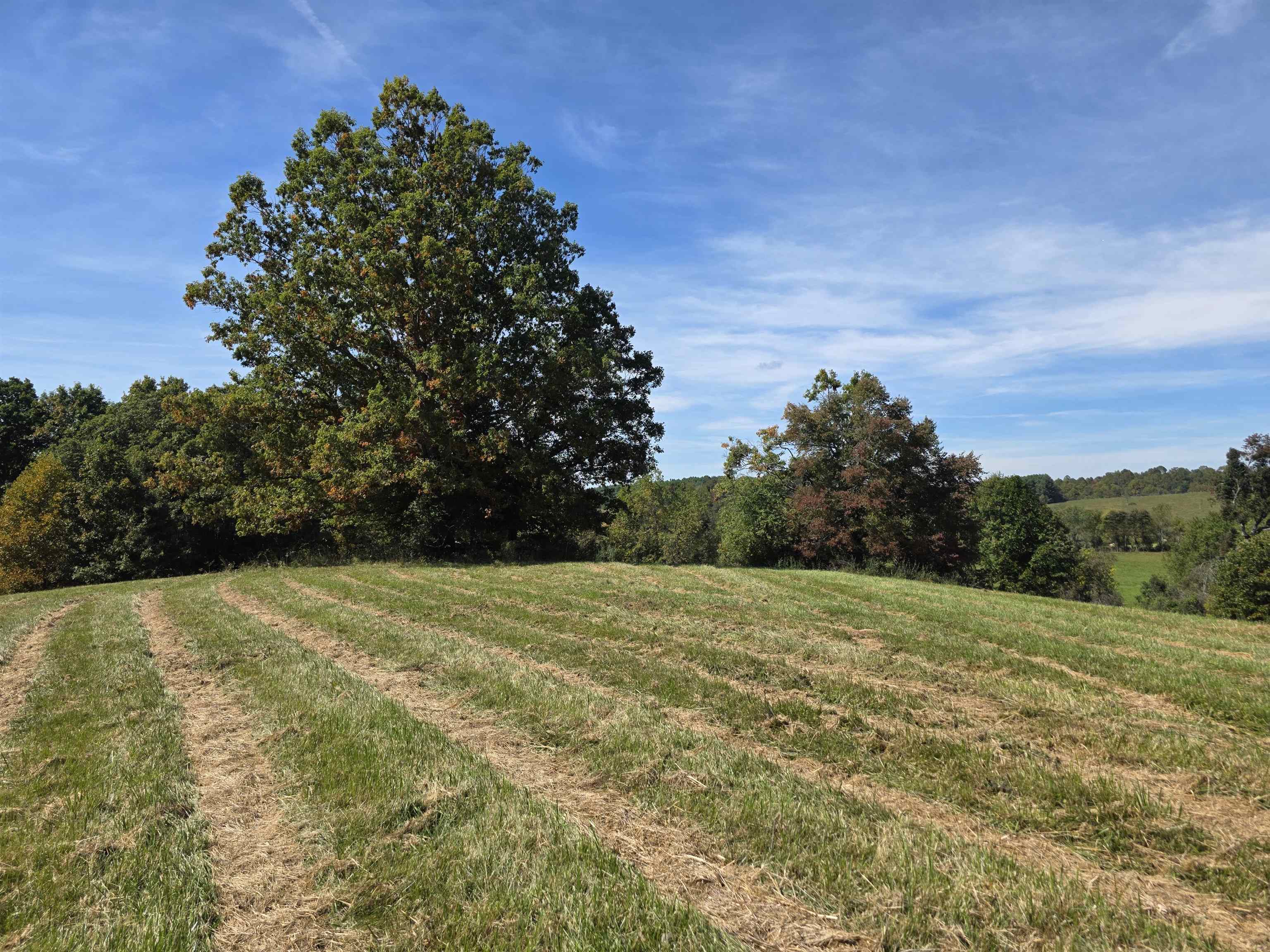 Tbd Ridge Road Check VA 24072