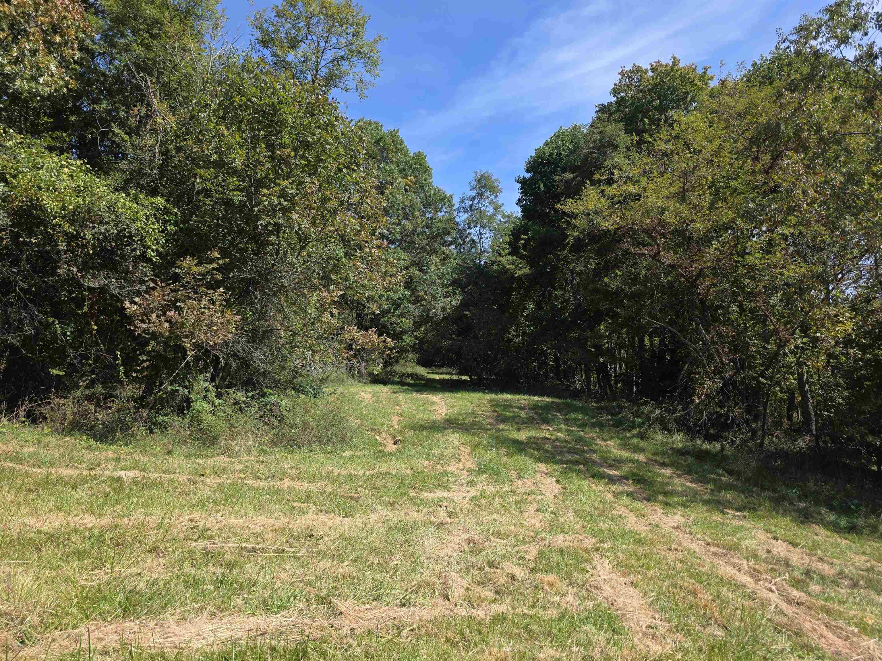 Tbd Ridge Road Check VA 24072