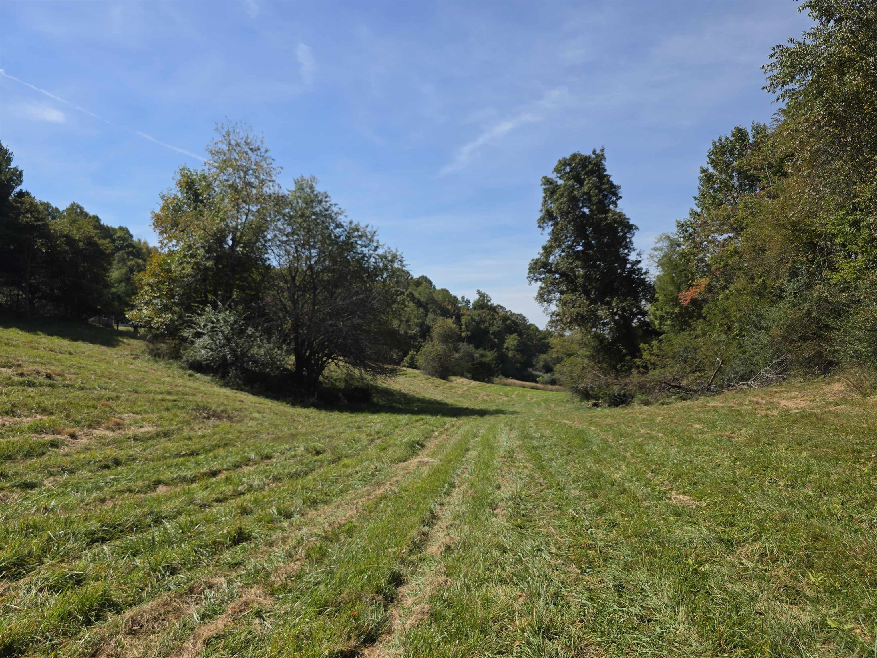 Tbd Ridge Road Check VA 24072