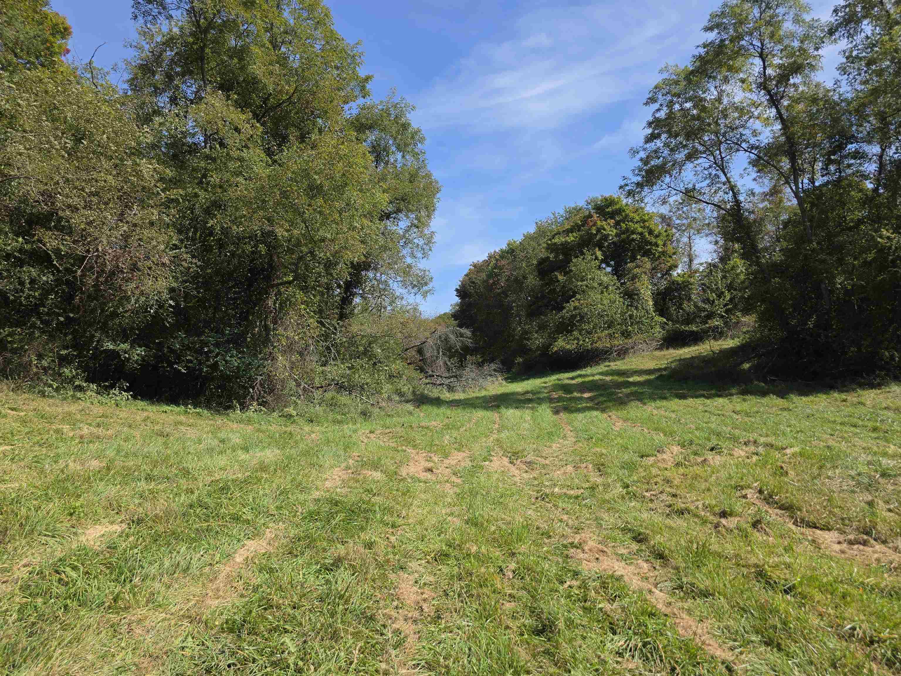 Tbd Ridge Road Check VA 24072