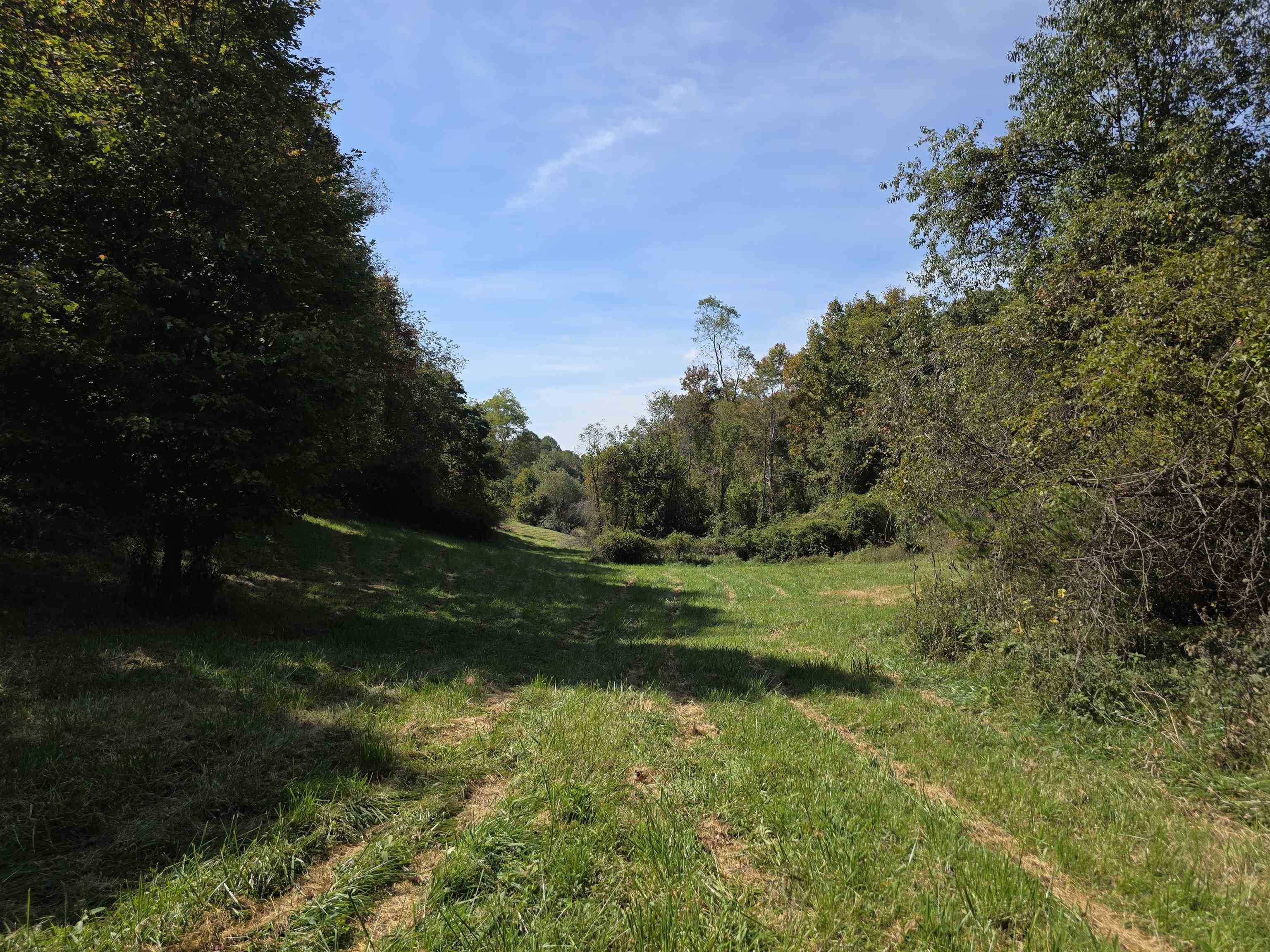 Tbd Ridge Road Check VA 24072