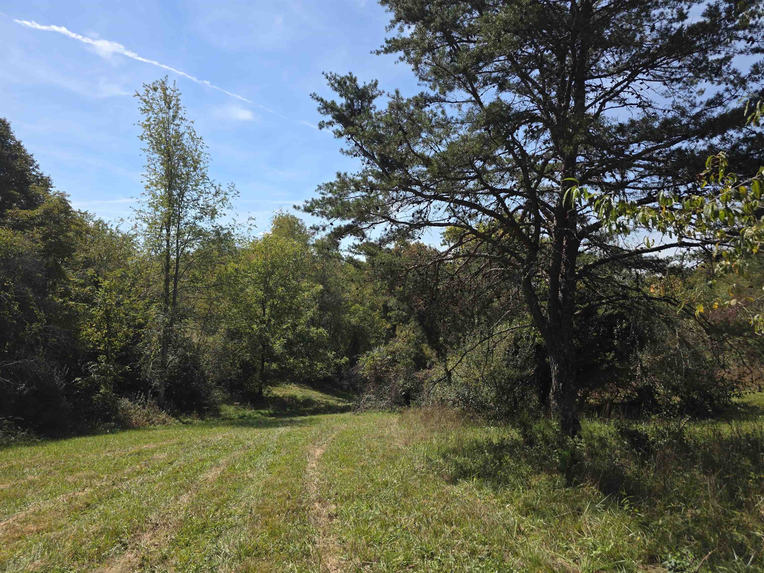 Tbd Ridge Road Check VA 24072