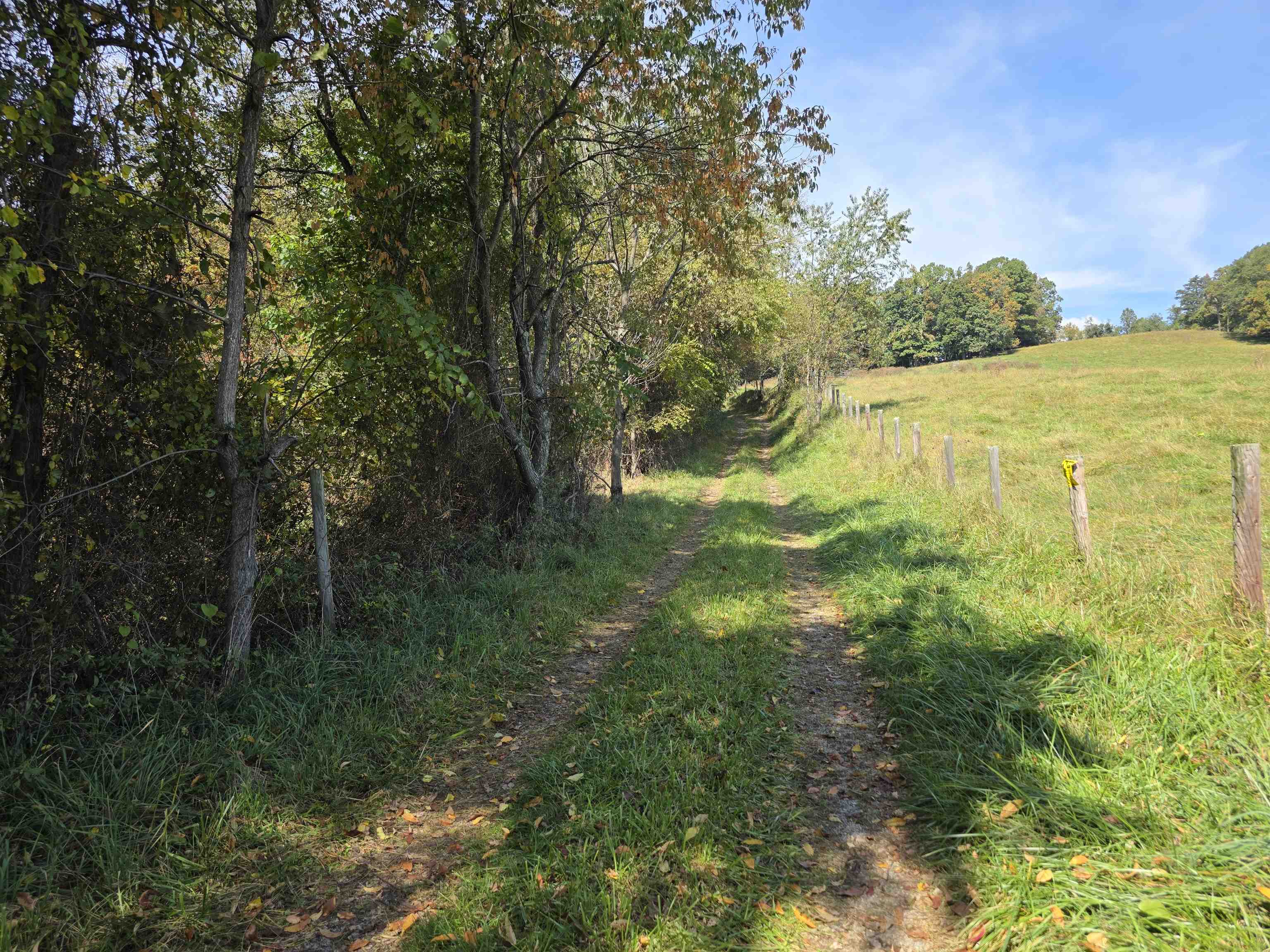 Tbd Ridge Road Check VA 24072