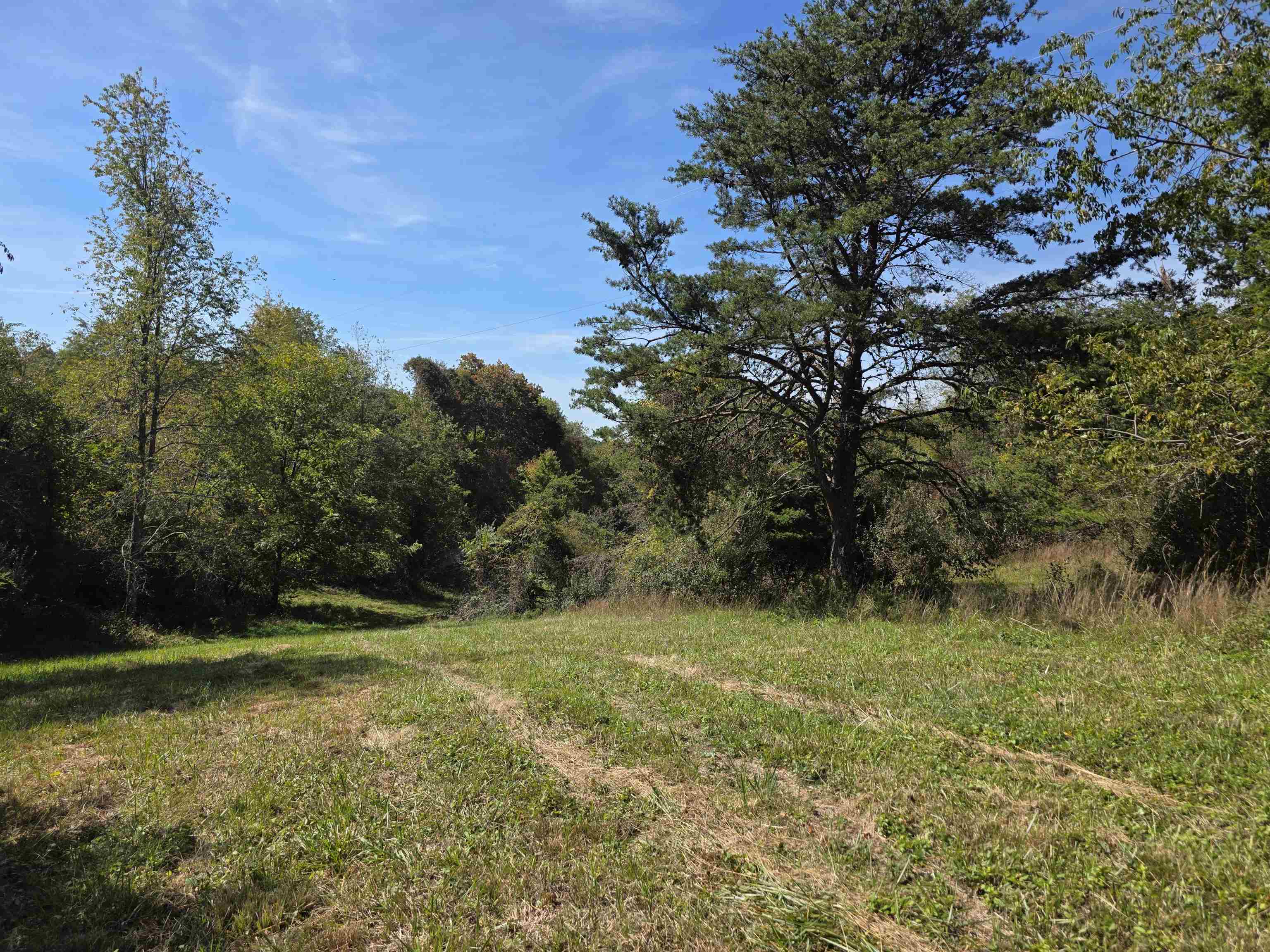 Tbd Ridge Road Check VA 24072