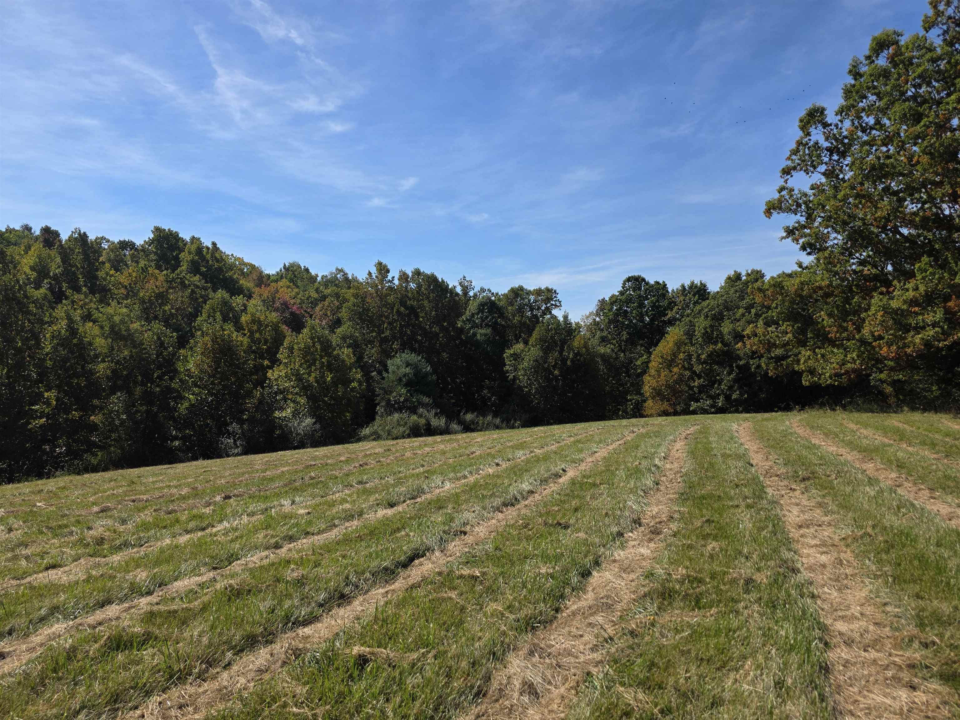 Tbd Ridge Road Check VA 24072