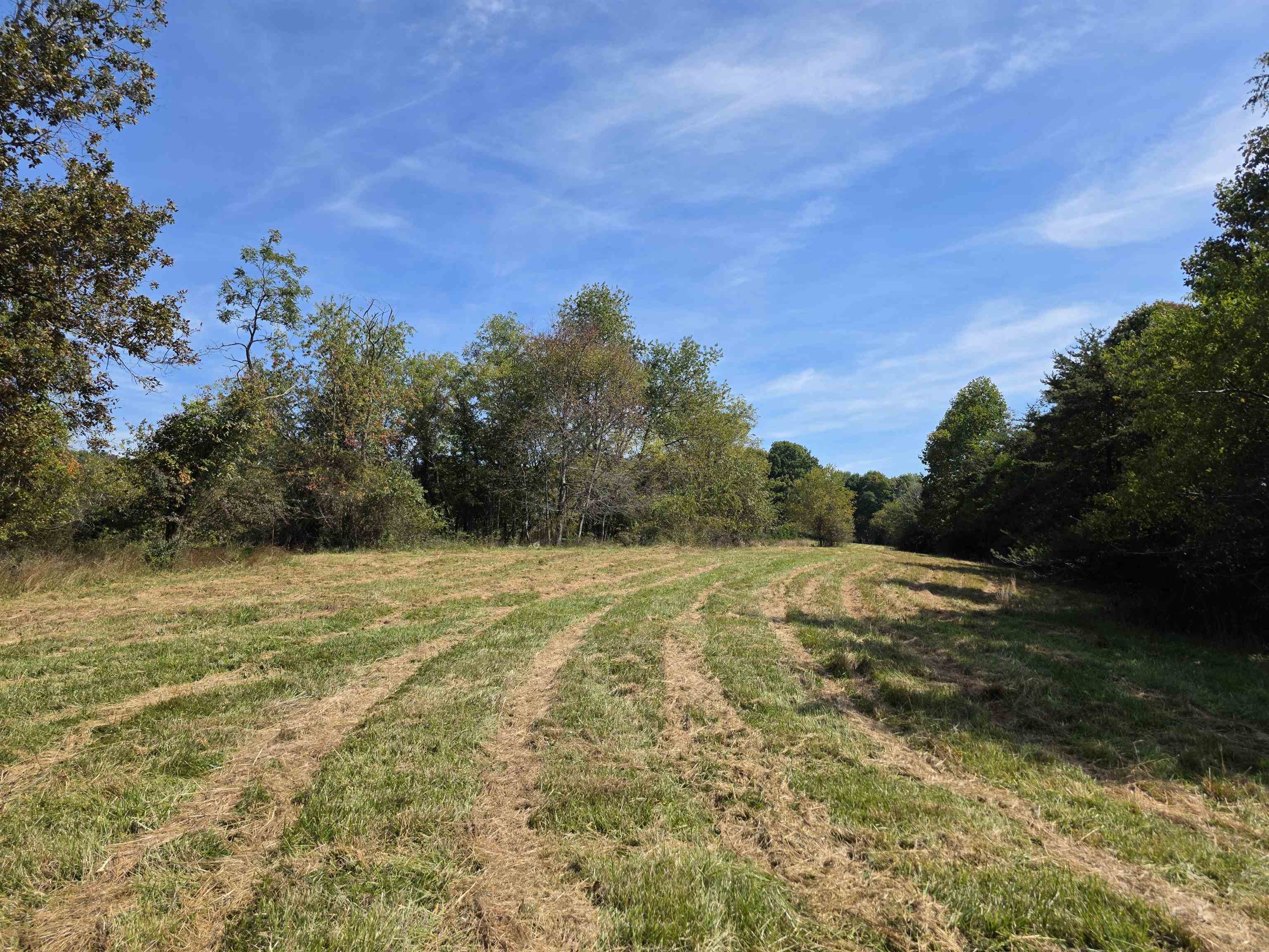 Tbd Ridge Road Check VA 24072