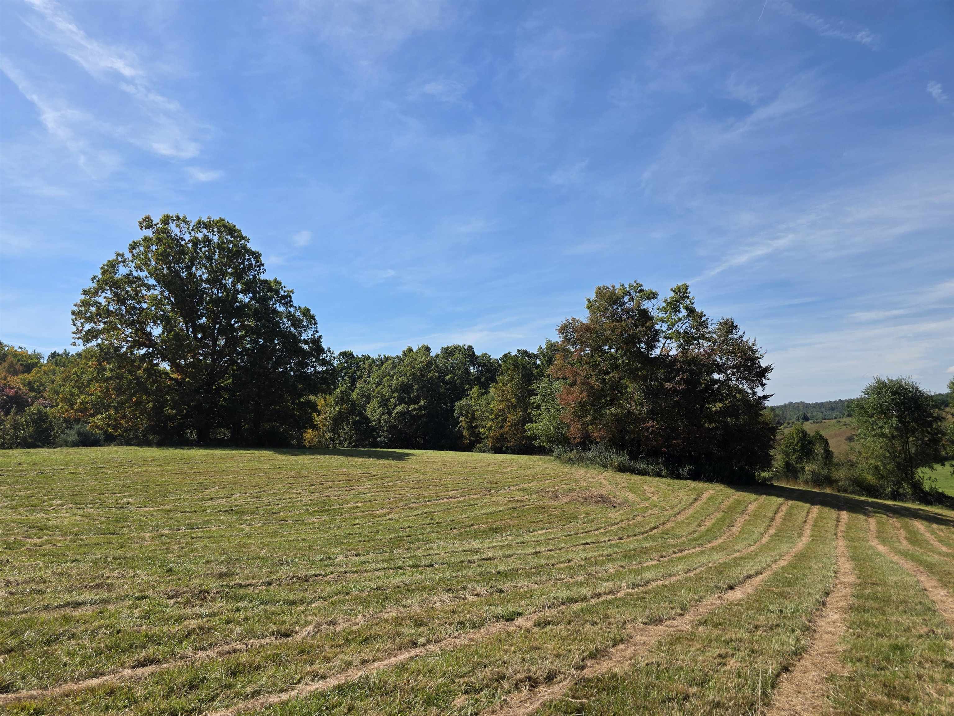 Tbd Ridge Road Check VA 24072