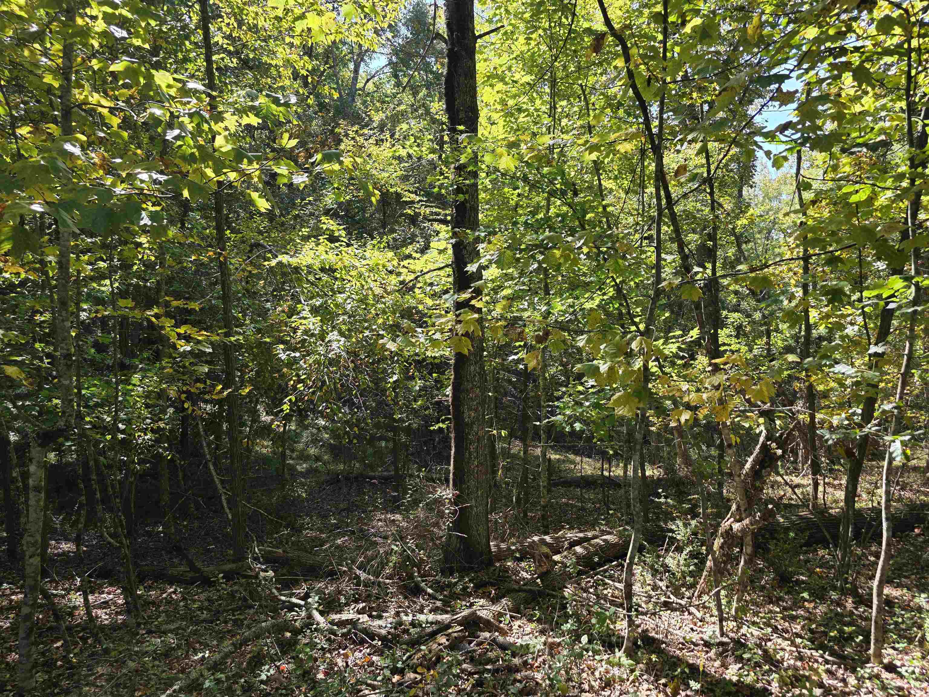 Tbd Ridge Road Check VA 24072