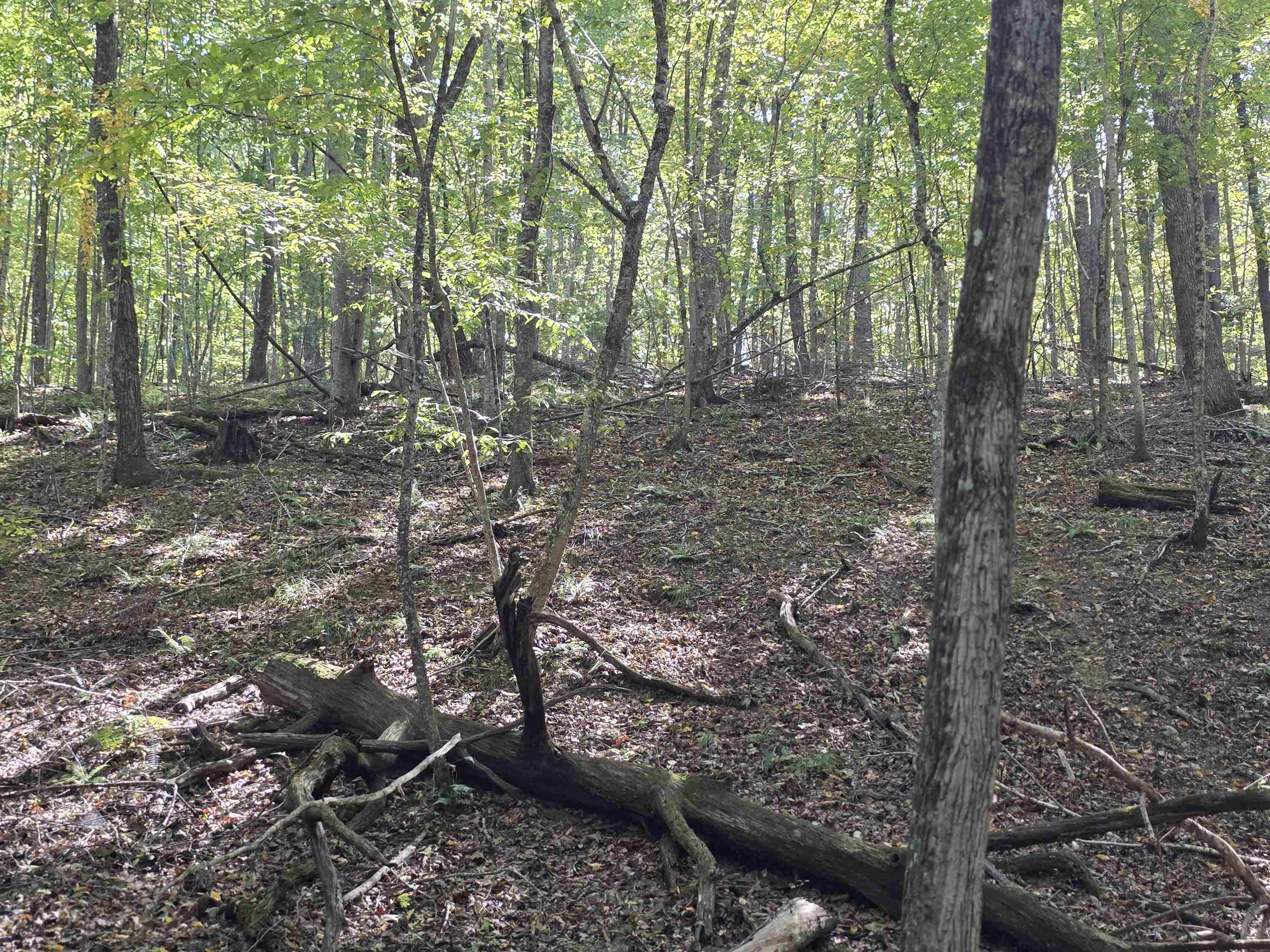 Tbd Ridge Road Check VA 24072