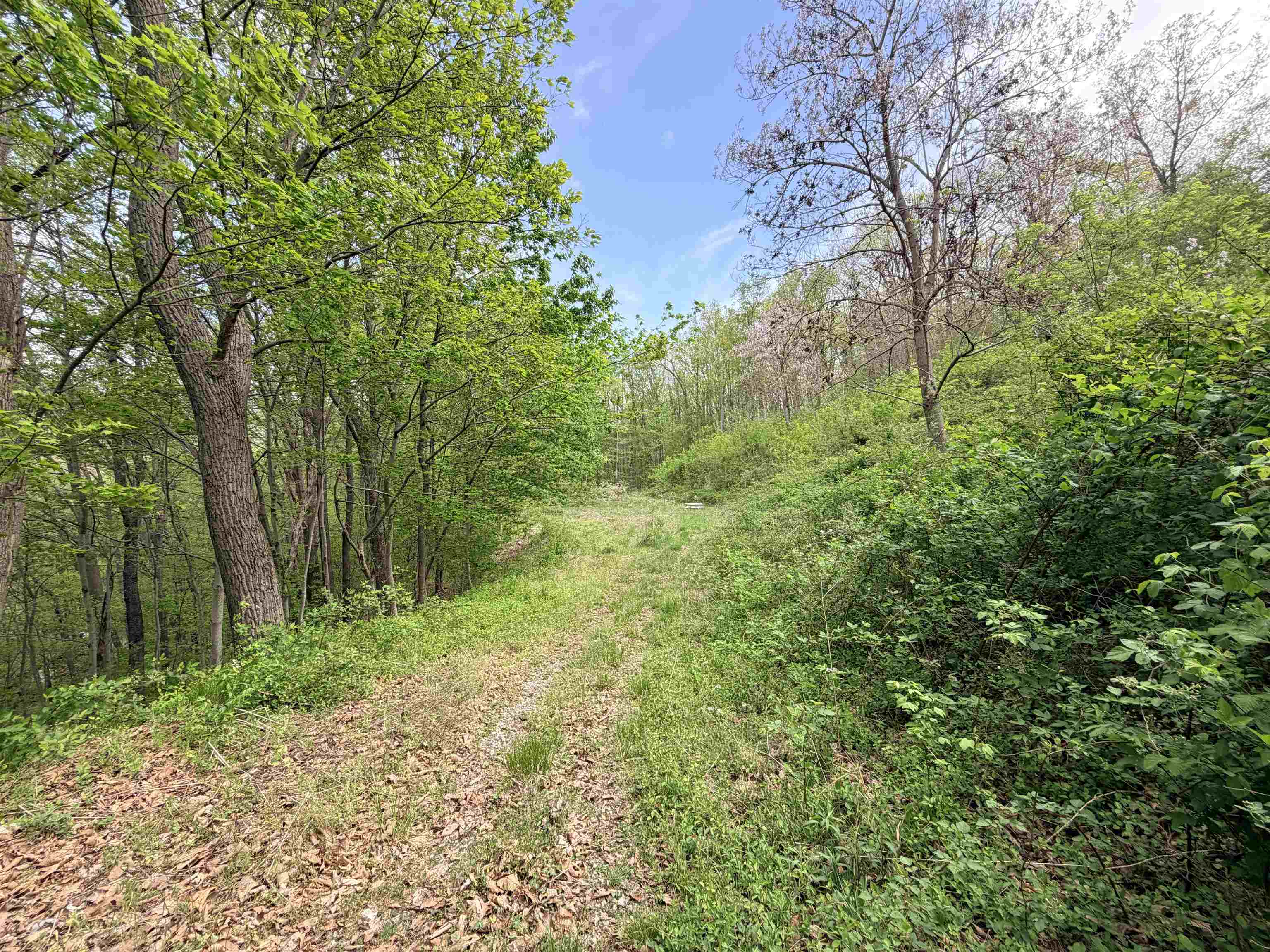 Tbd Hidden Meadow Drive Pearisburg VA 24134