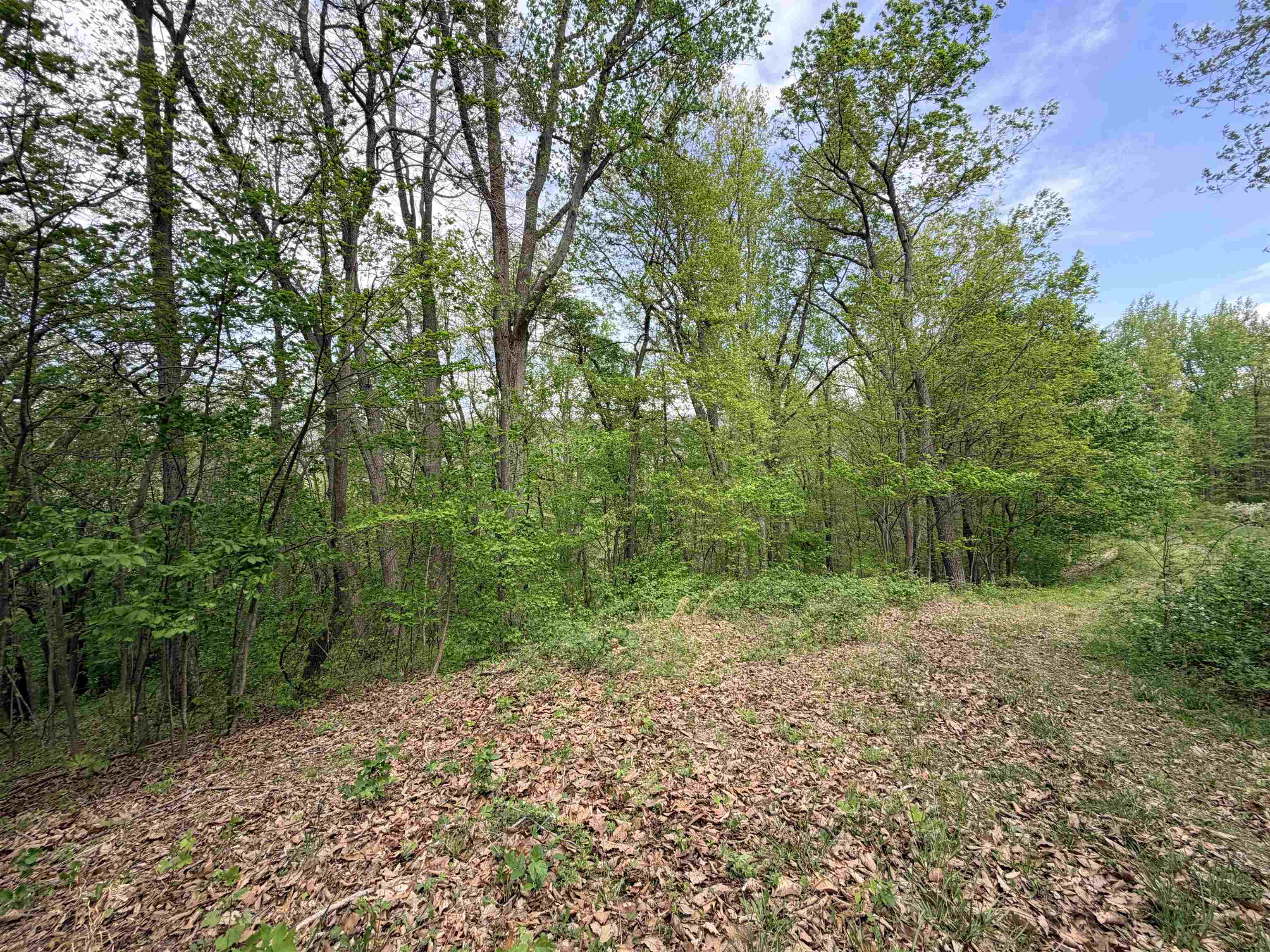 Tbd Hidden Meadow Drive Pearisburg VA 24134