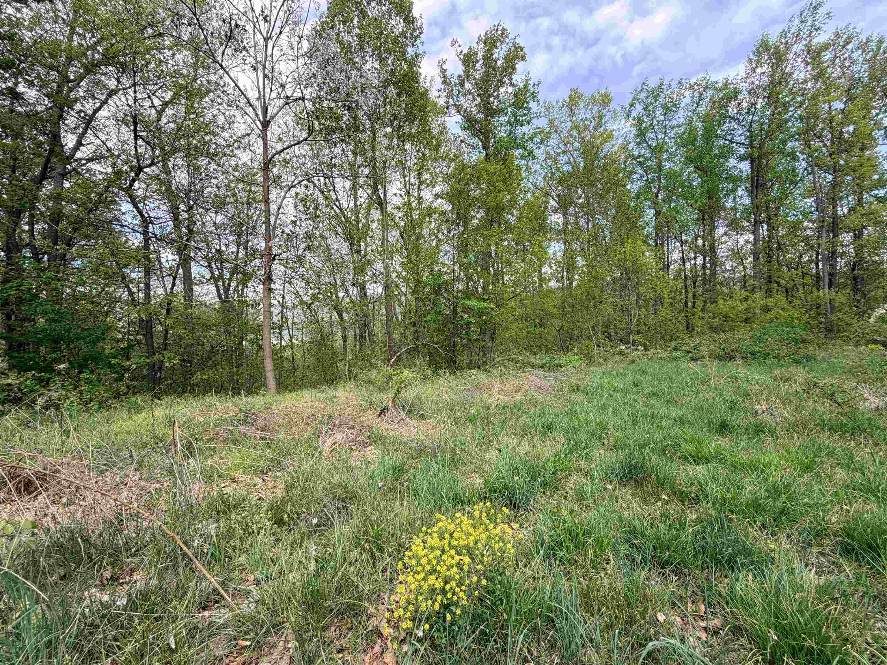 Tbd Hidden Meadow Drive Pearisburg VA 24134