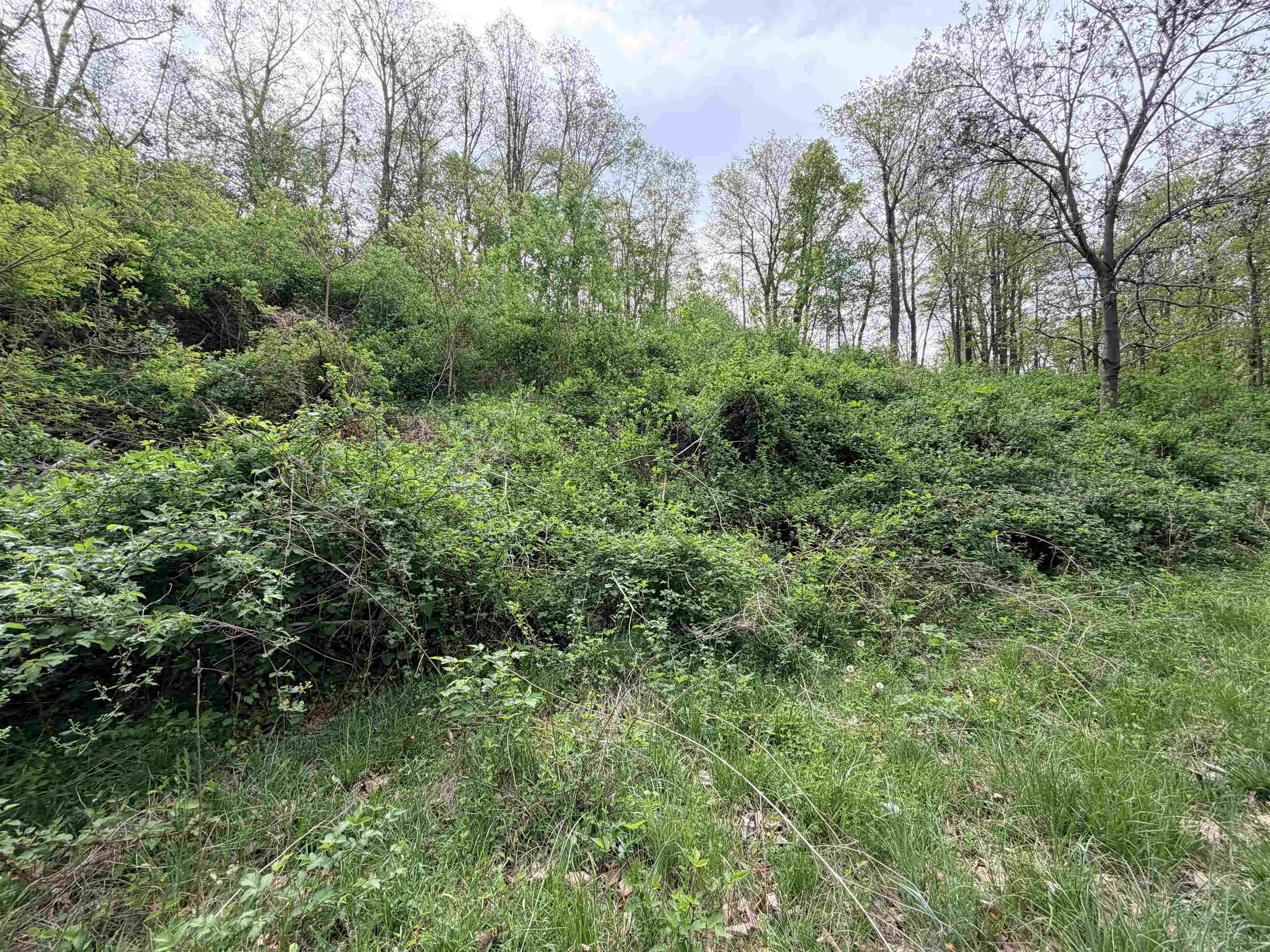 Tbd Hidden Meadow Drive Pearisburg VA 24134