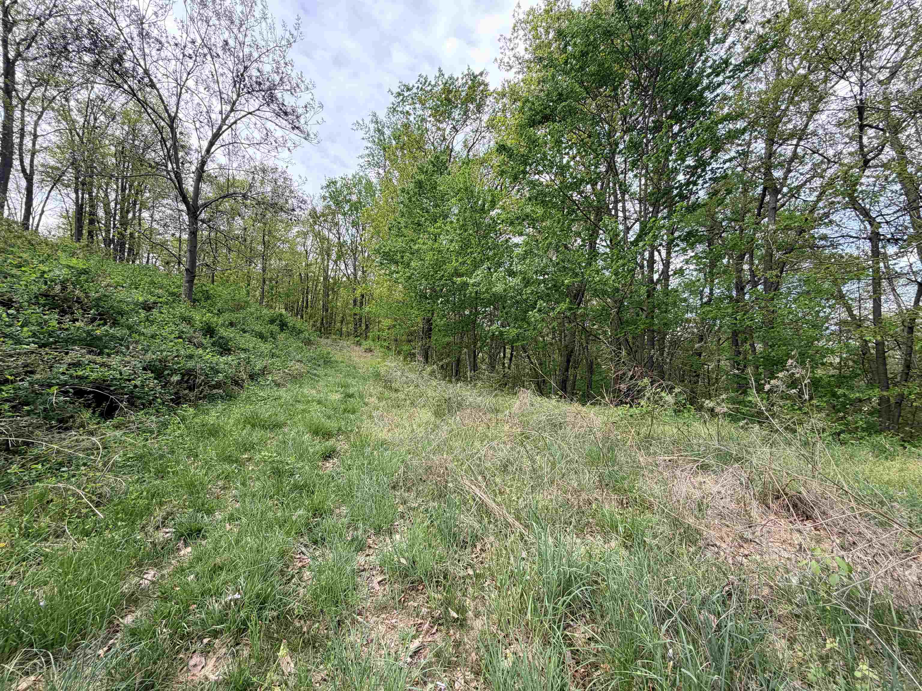 Tbd Hidden Meadow Drive Pearisburg VA 24134