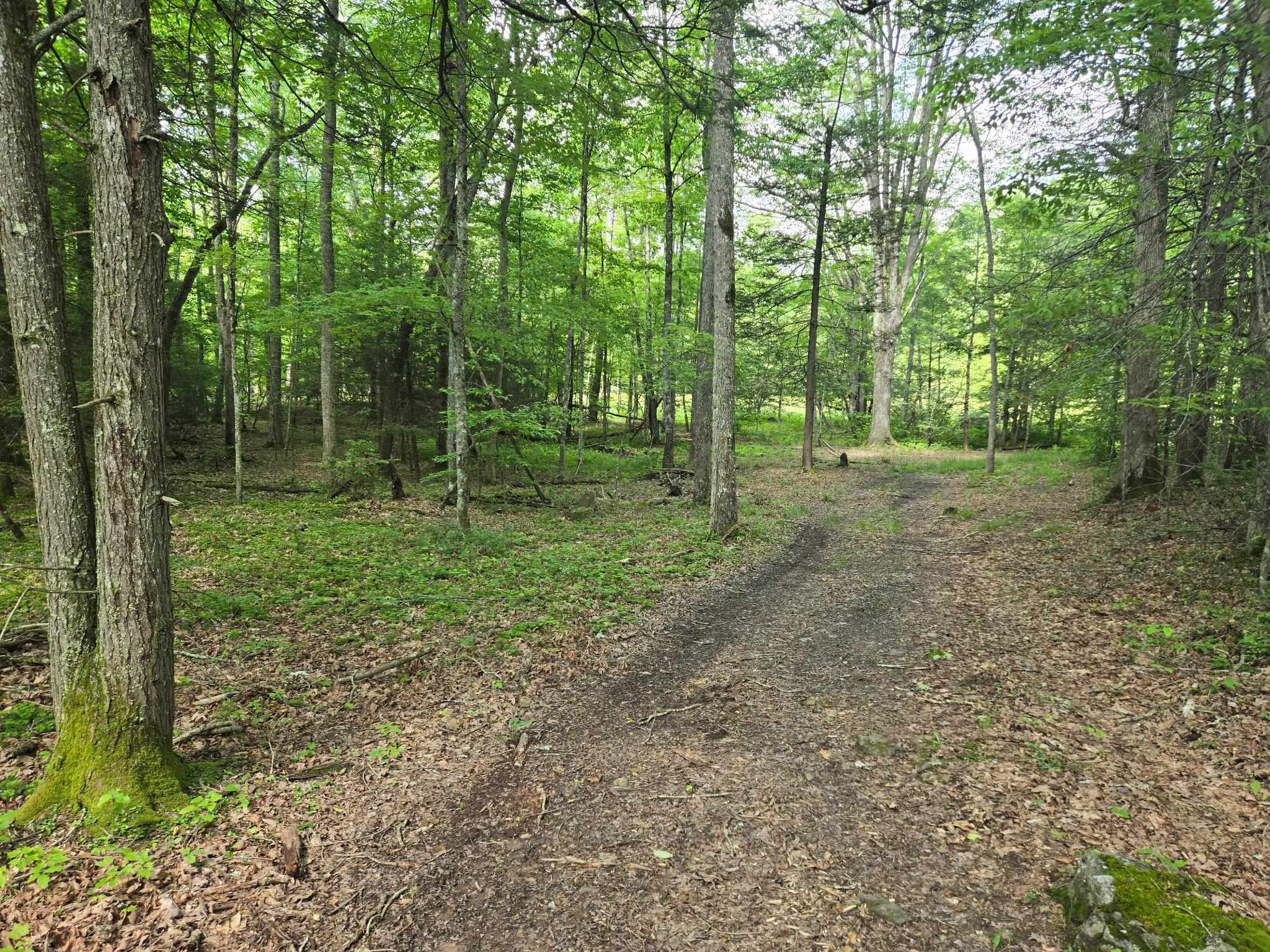 Tbd Poor Valley Road Bland VA 24315