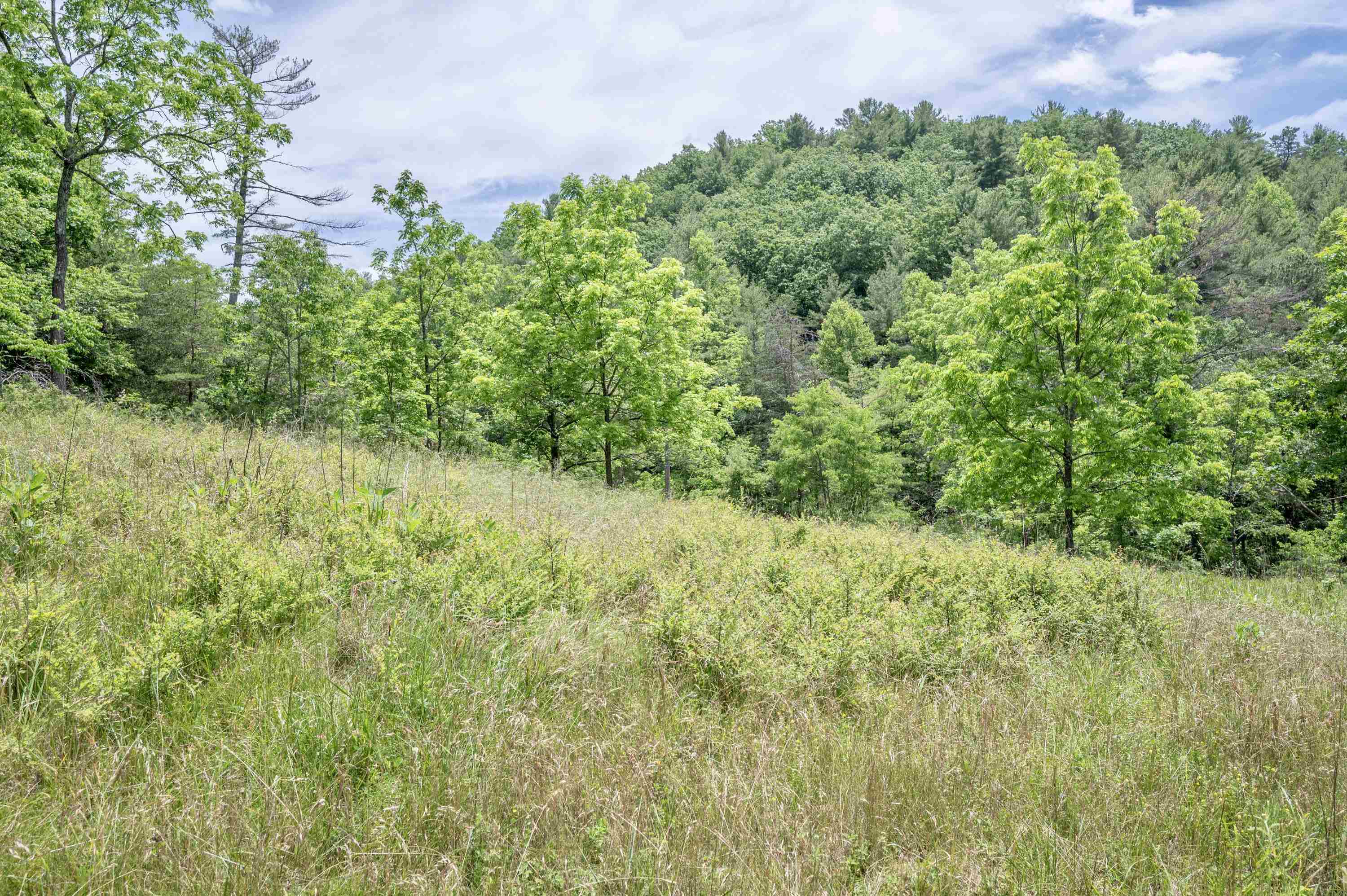 3220 Big Branch Road Riner VA 24149