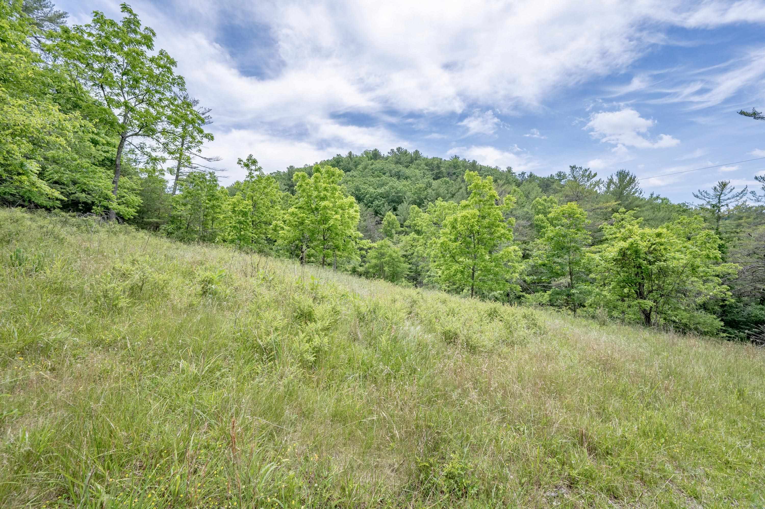 3220 Big Branch Road Riner VA 24149