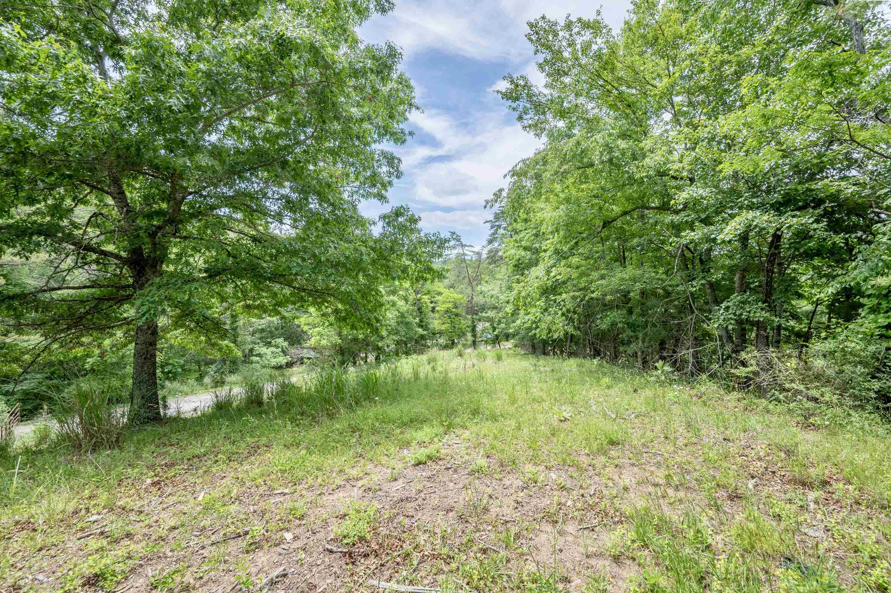 3220 Big Branch Road Riner VA 24149