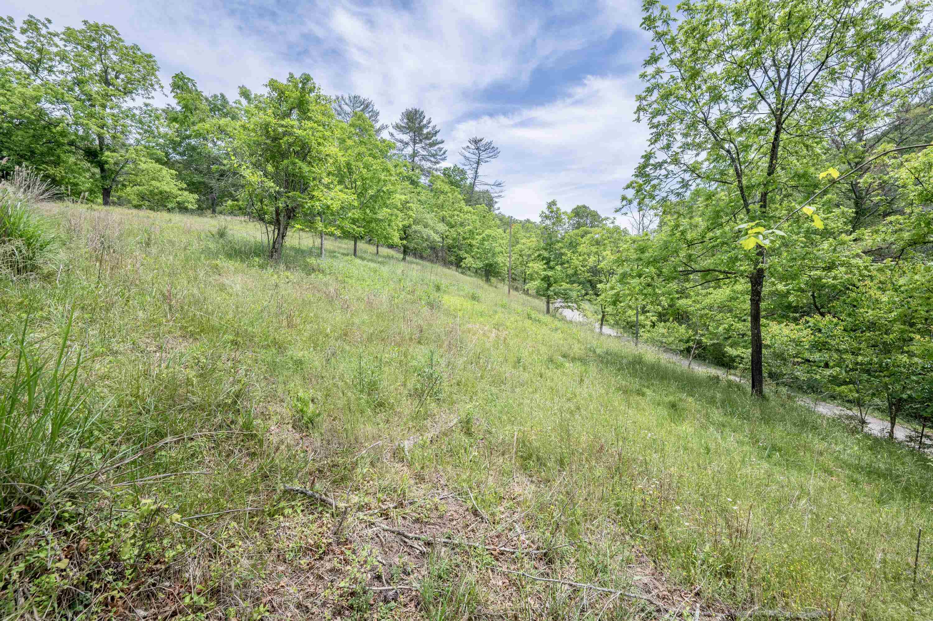 3220 Big Branch Road Riner VA 24149
