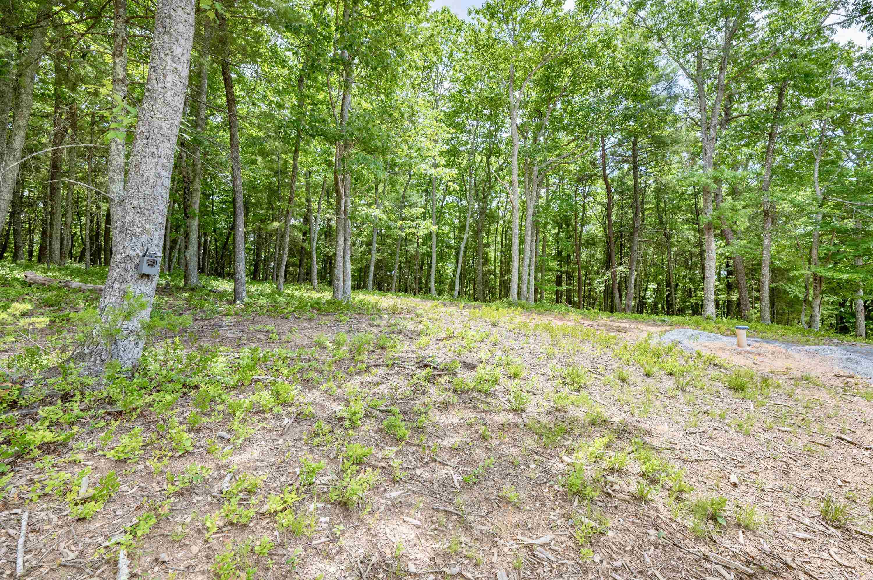 3220 Big Branch Road Riner VA 24149