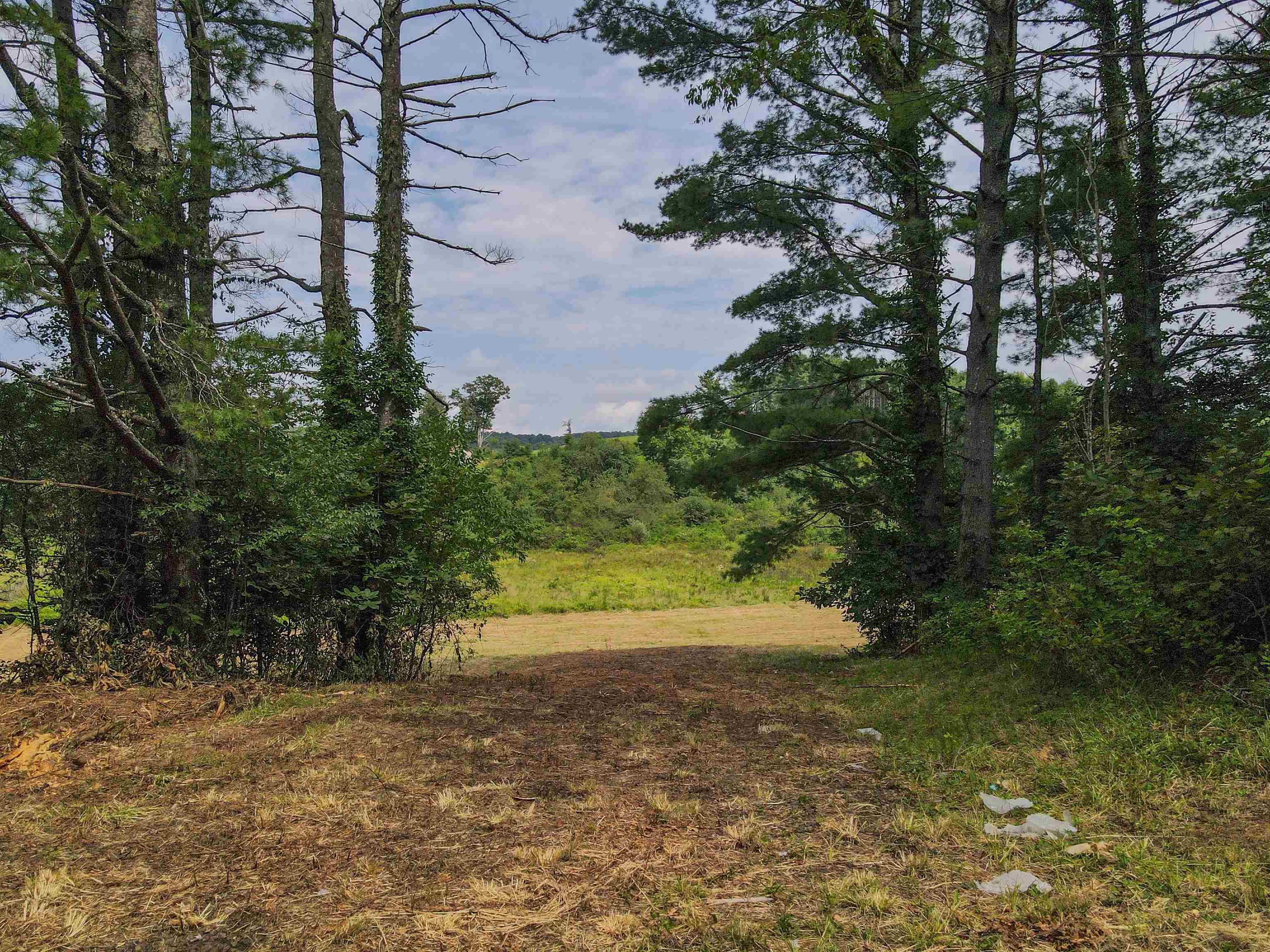 Tbd Floyd Highway N Floyd VA 24091