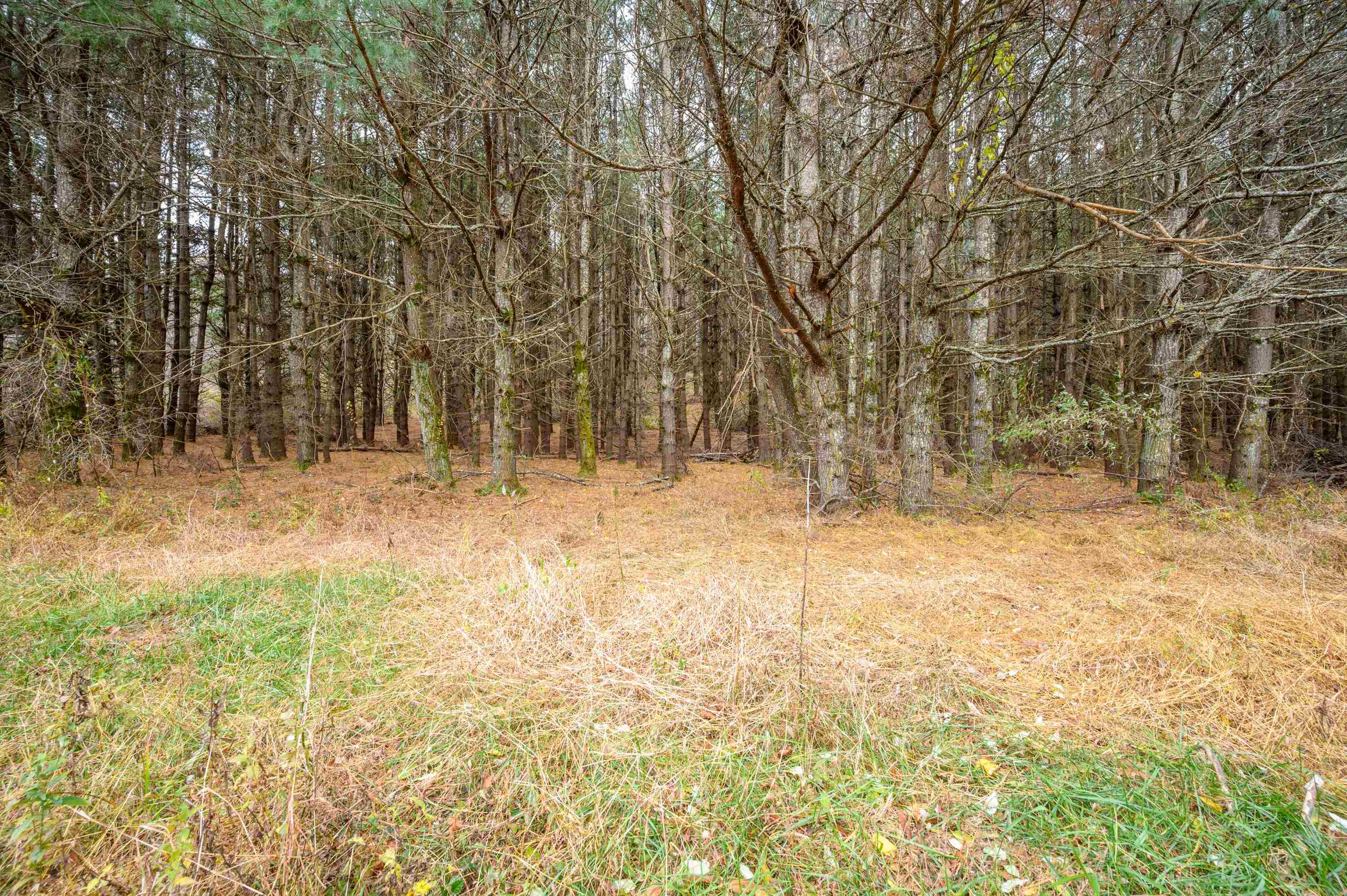 3150 Stonewall Road NE Pilot VA 24138