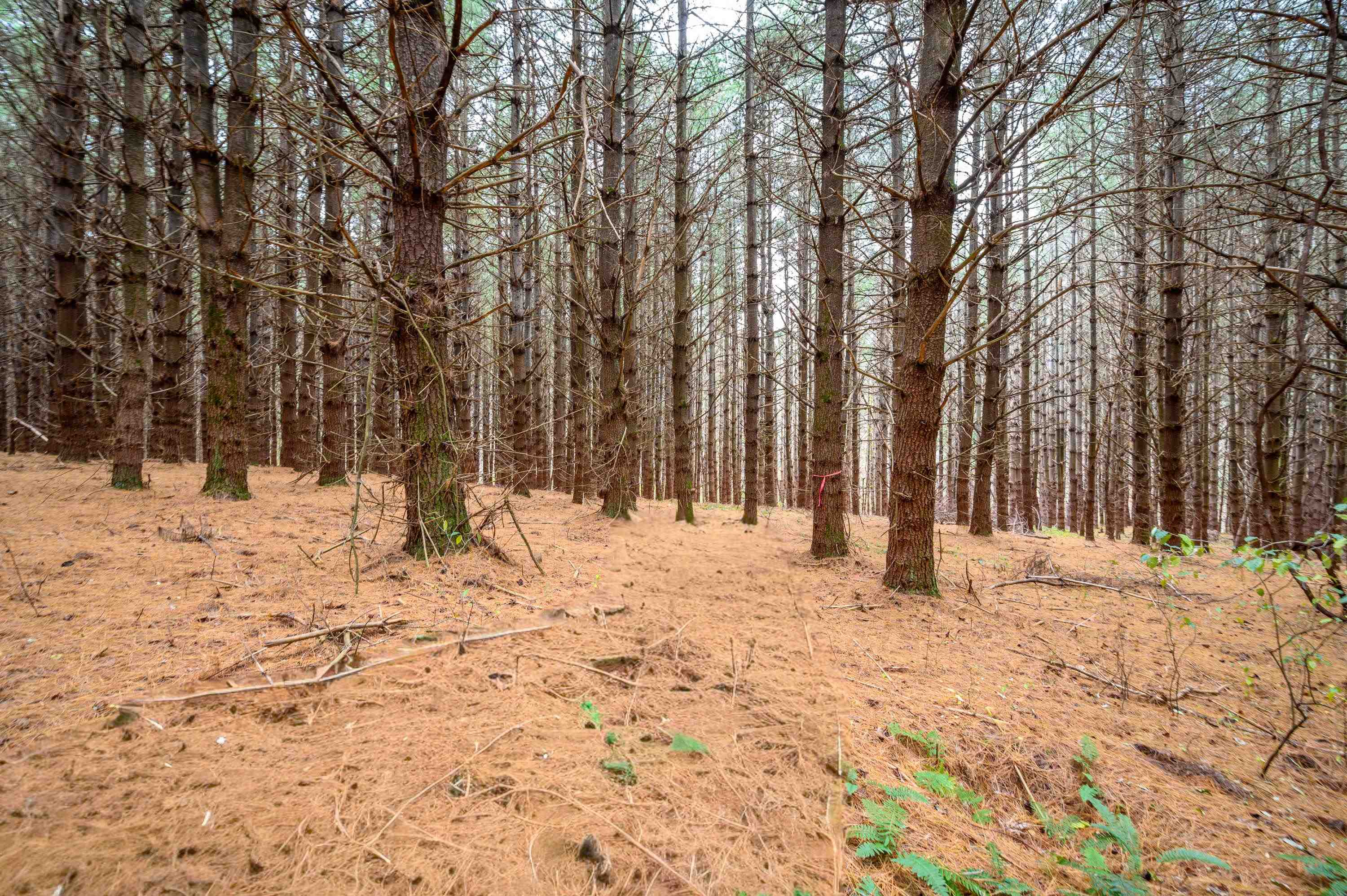 3150 Stonewall Road NE Pilot VA 24138