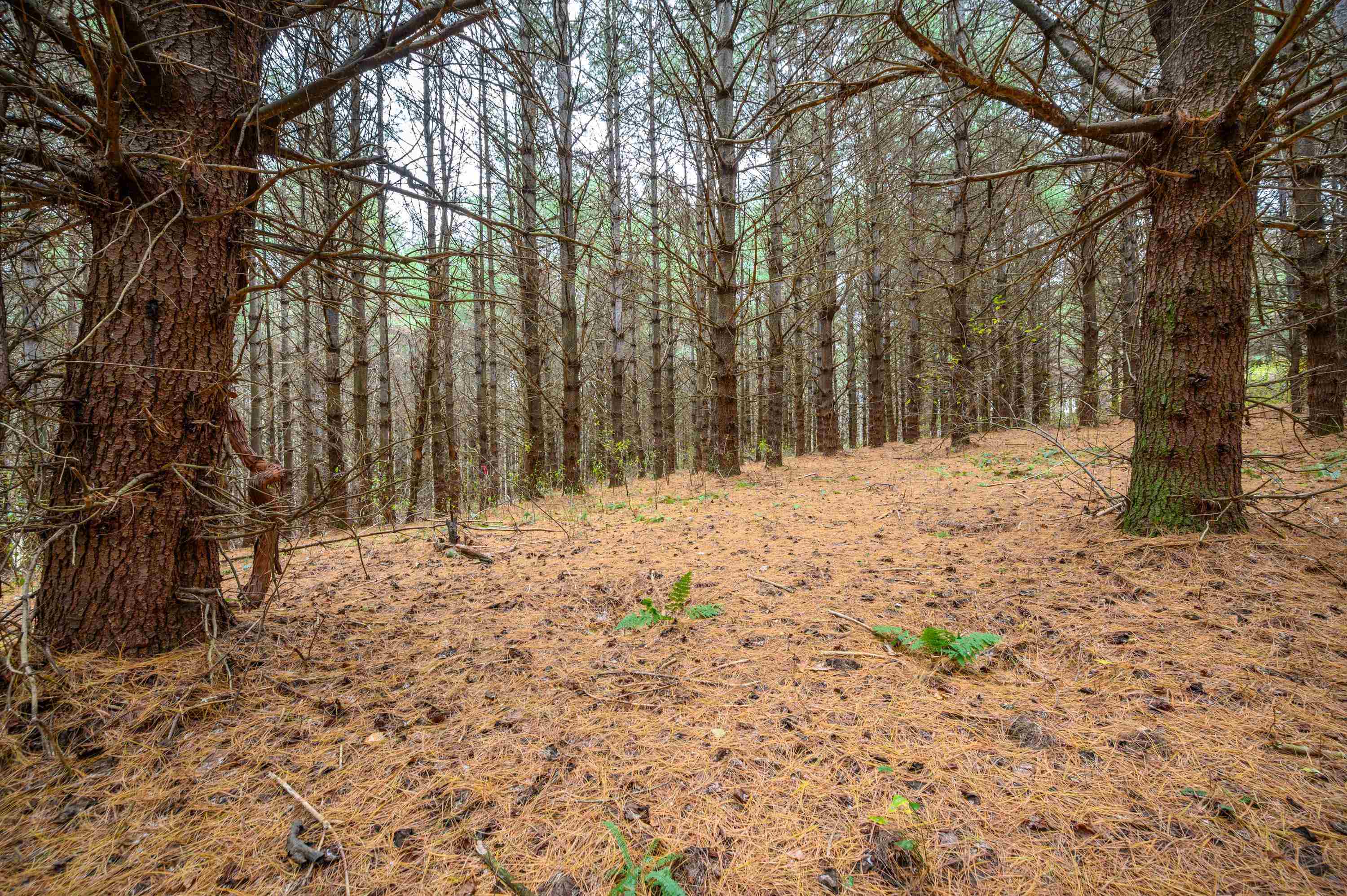 3150 Stonewall Road NE Pilot VA 24138