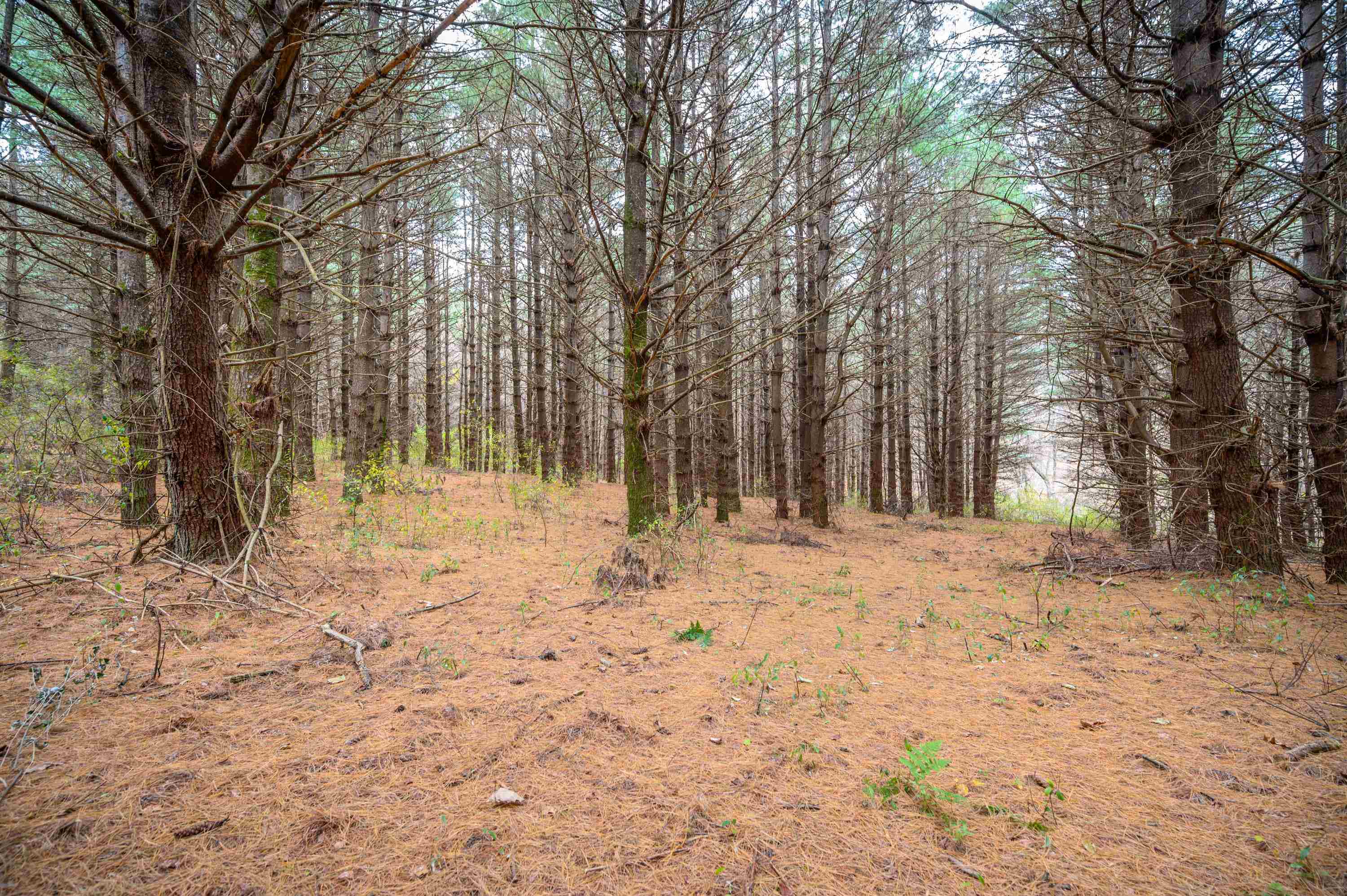 3150 Stonewall Road NE Pilot VA 24138