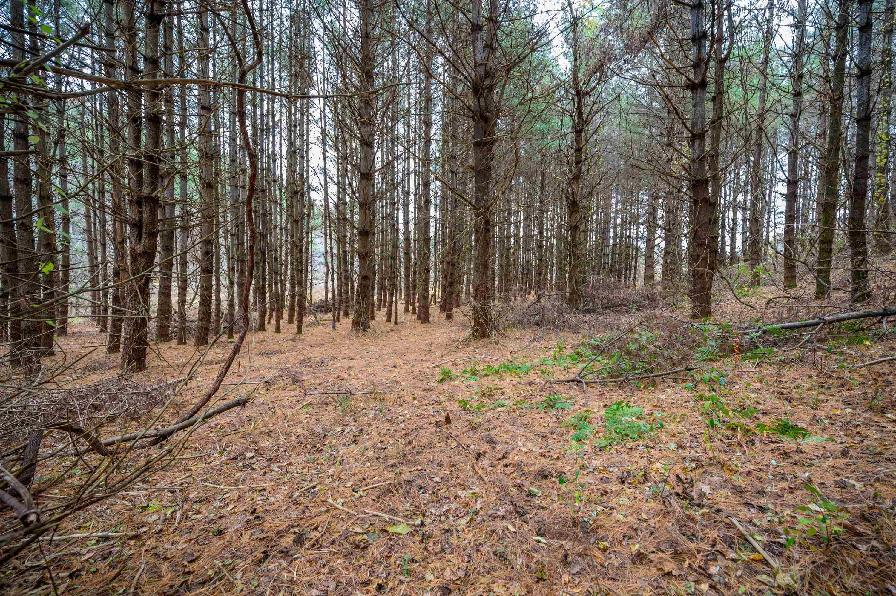 3150 Stonewall Road NE Pilot VA 24138