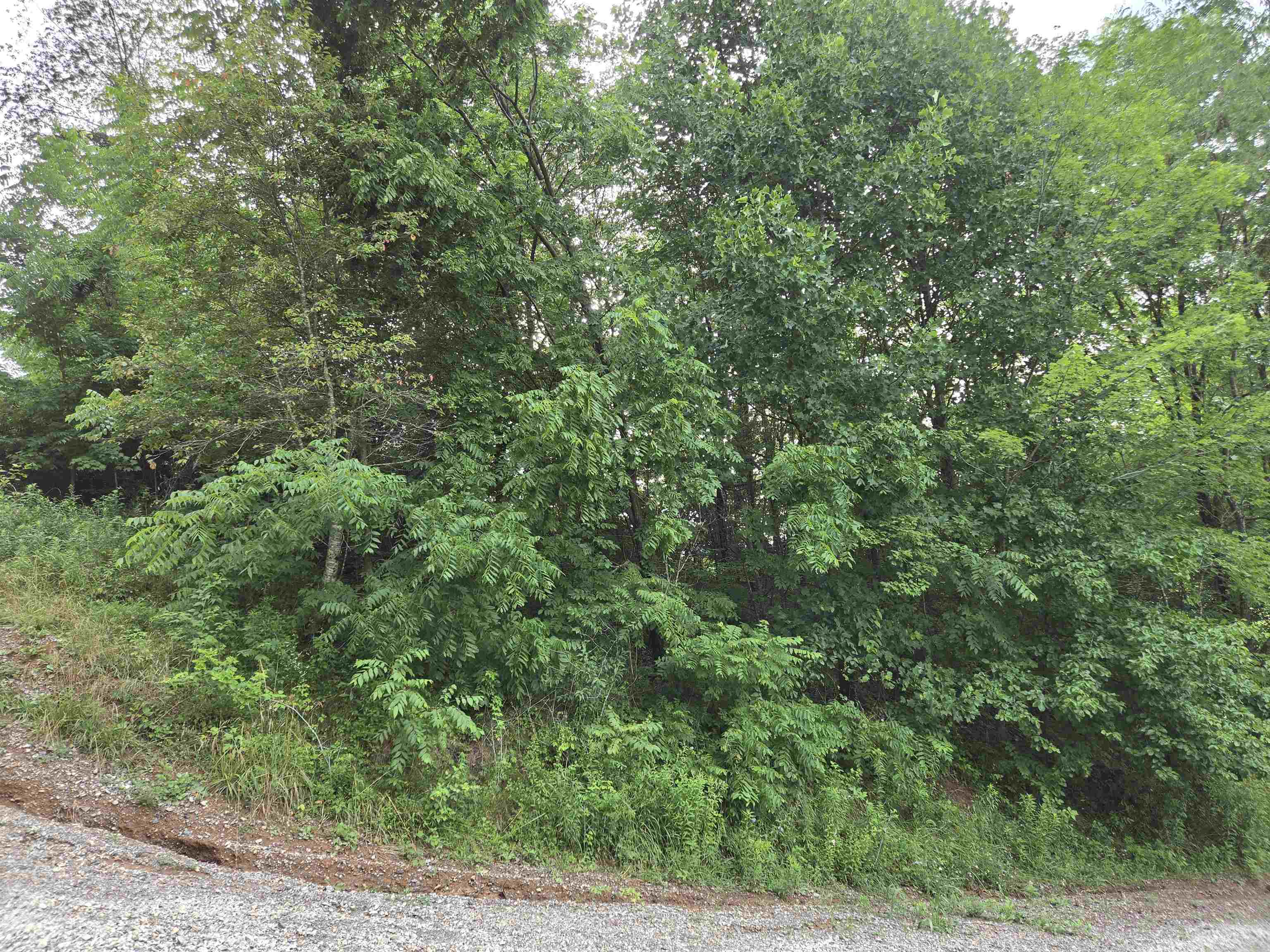 Tbd Rural Retreat Lake Road Rural Retreat VA 24368