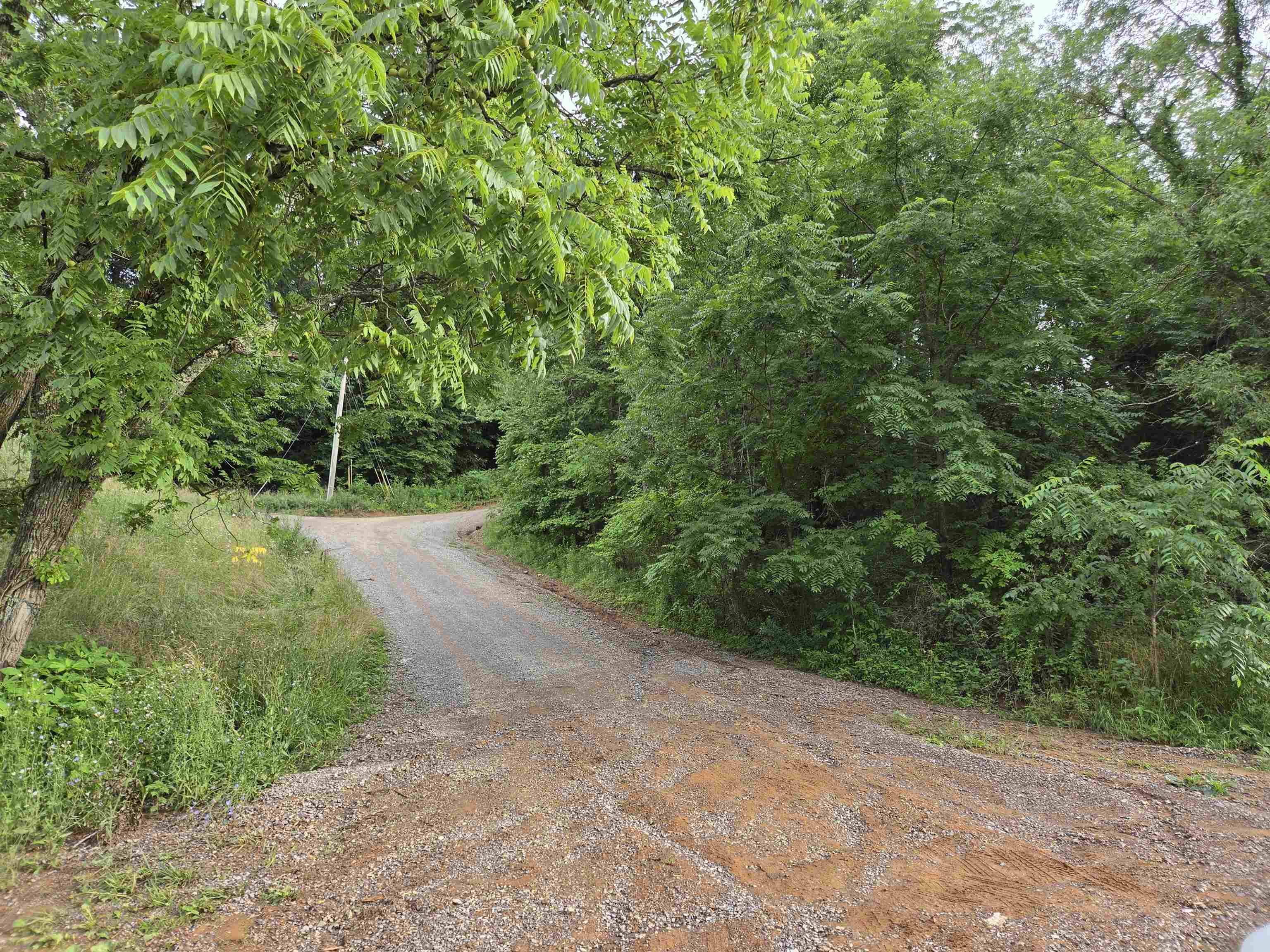 Tbd Rural Retreat Lake Road Rural Retreat VA 24368