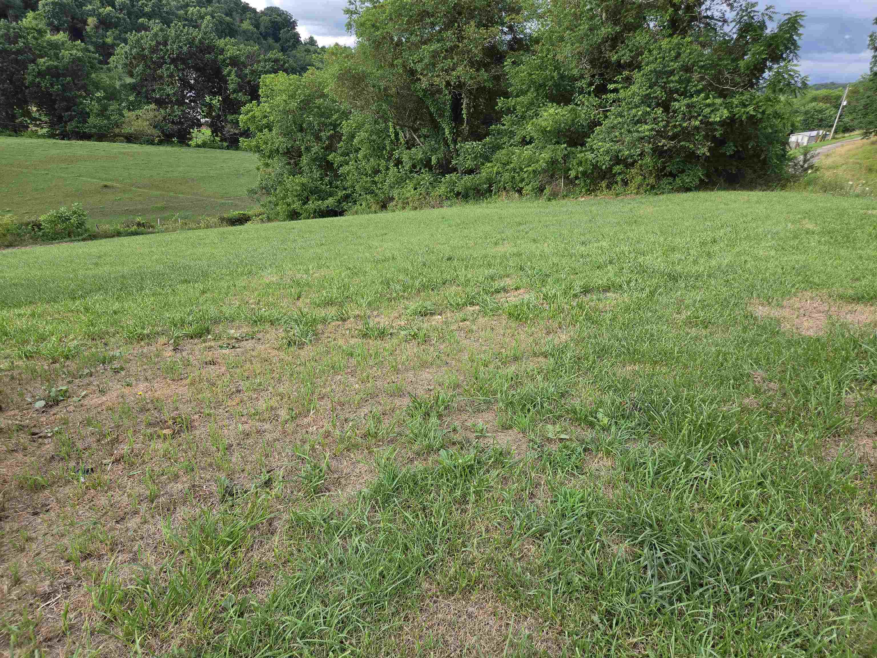 Tbd Rural Retreat Lake Road Rural Retreat VA 24368