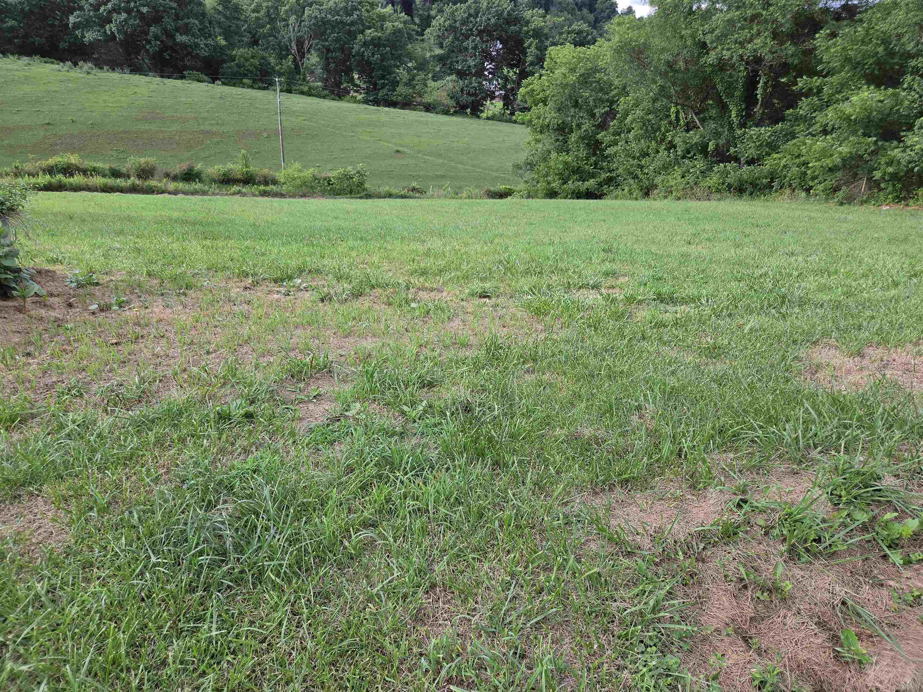Tbd Rural Retreat Lake Road Rural Retreat VA 24368