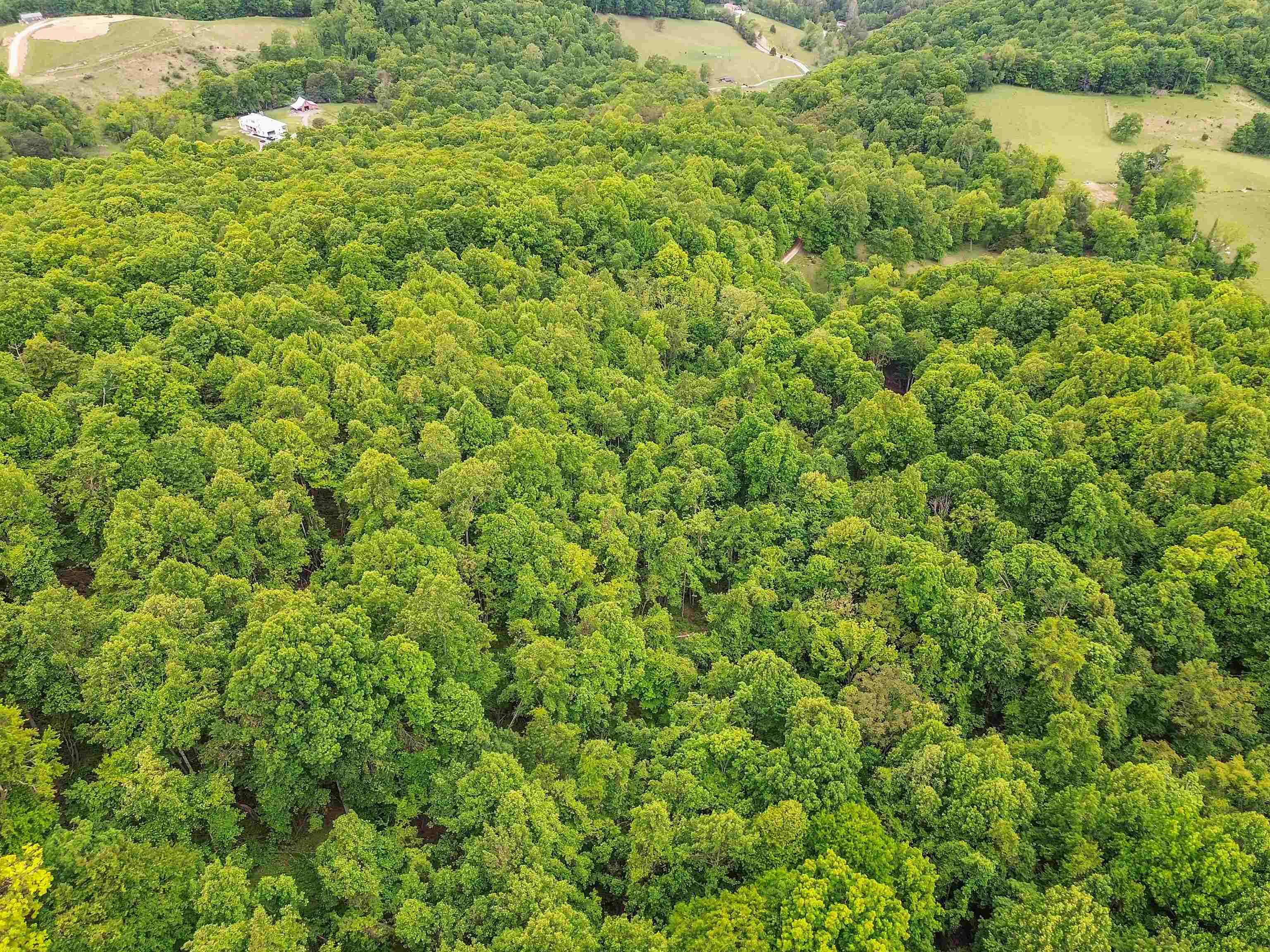 0 Ravens Ridge Road Pearisburg VA 24134