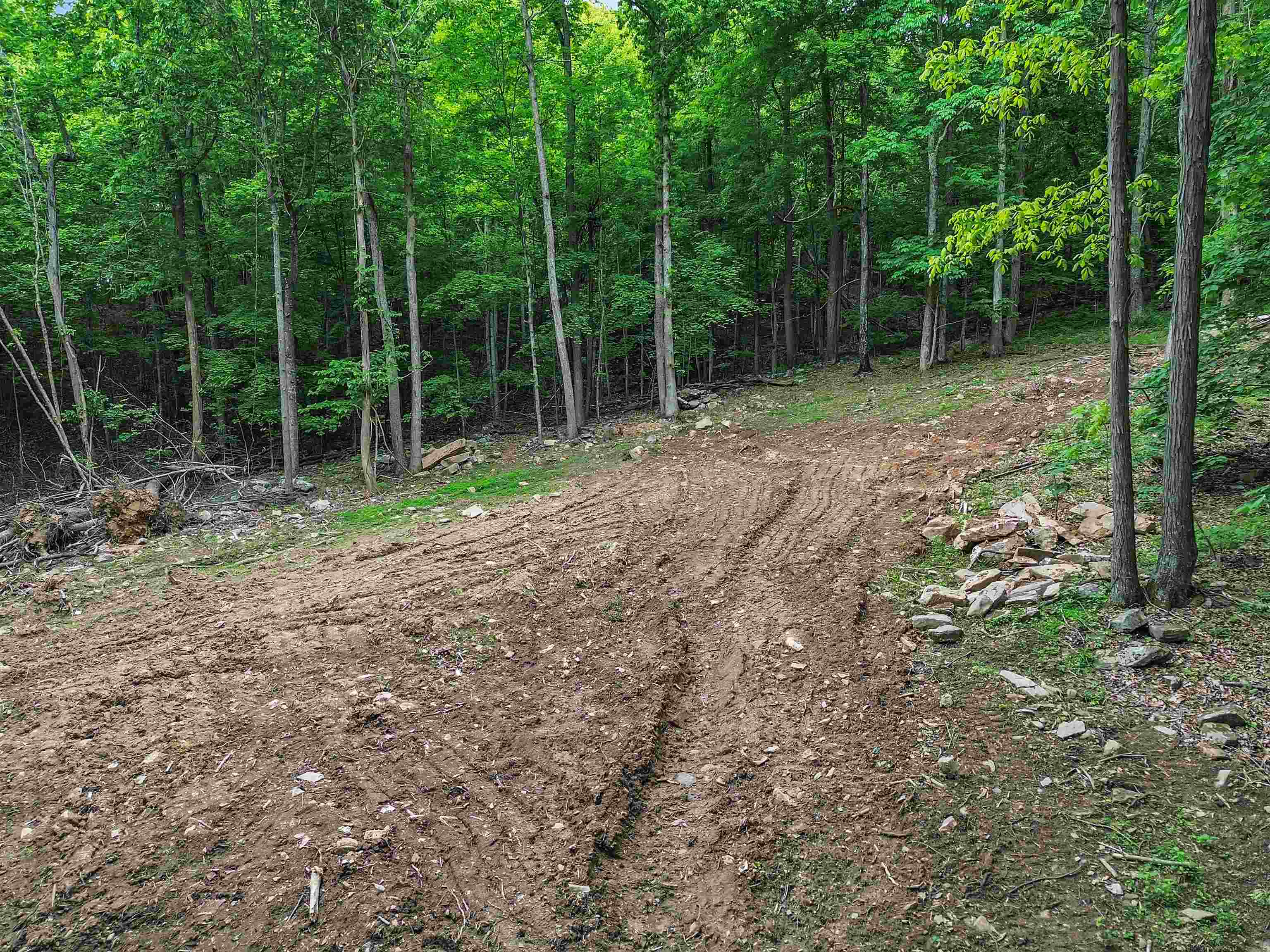 0 Ravens Ridge Road Pearisburg VA 24134