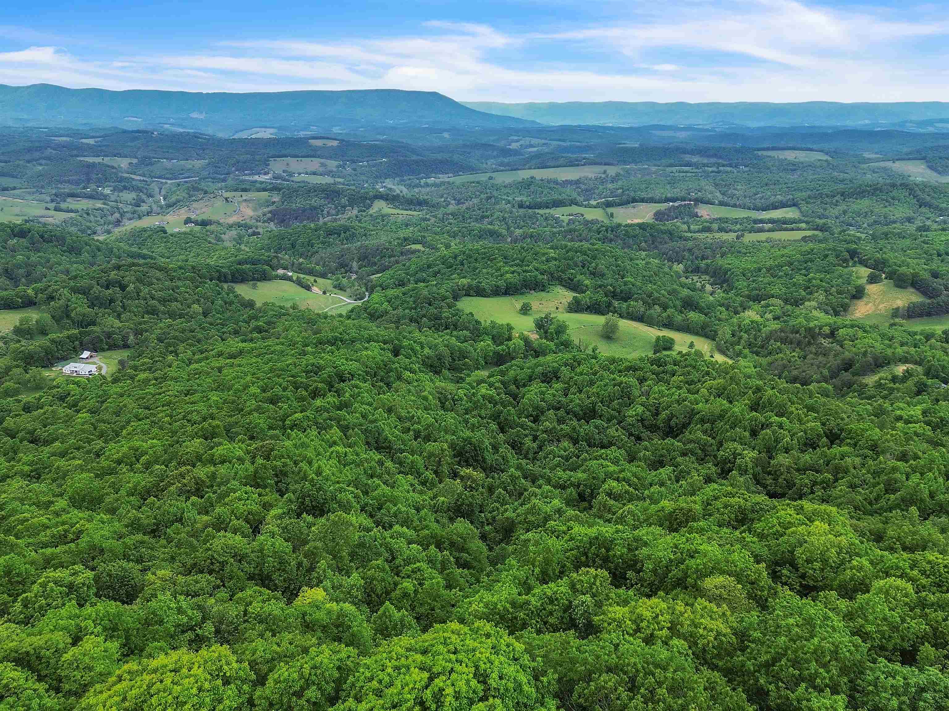 0 Ravens Ridge Road Pearisburg VA 24134