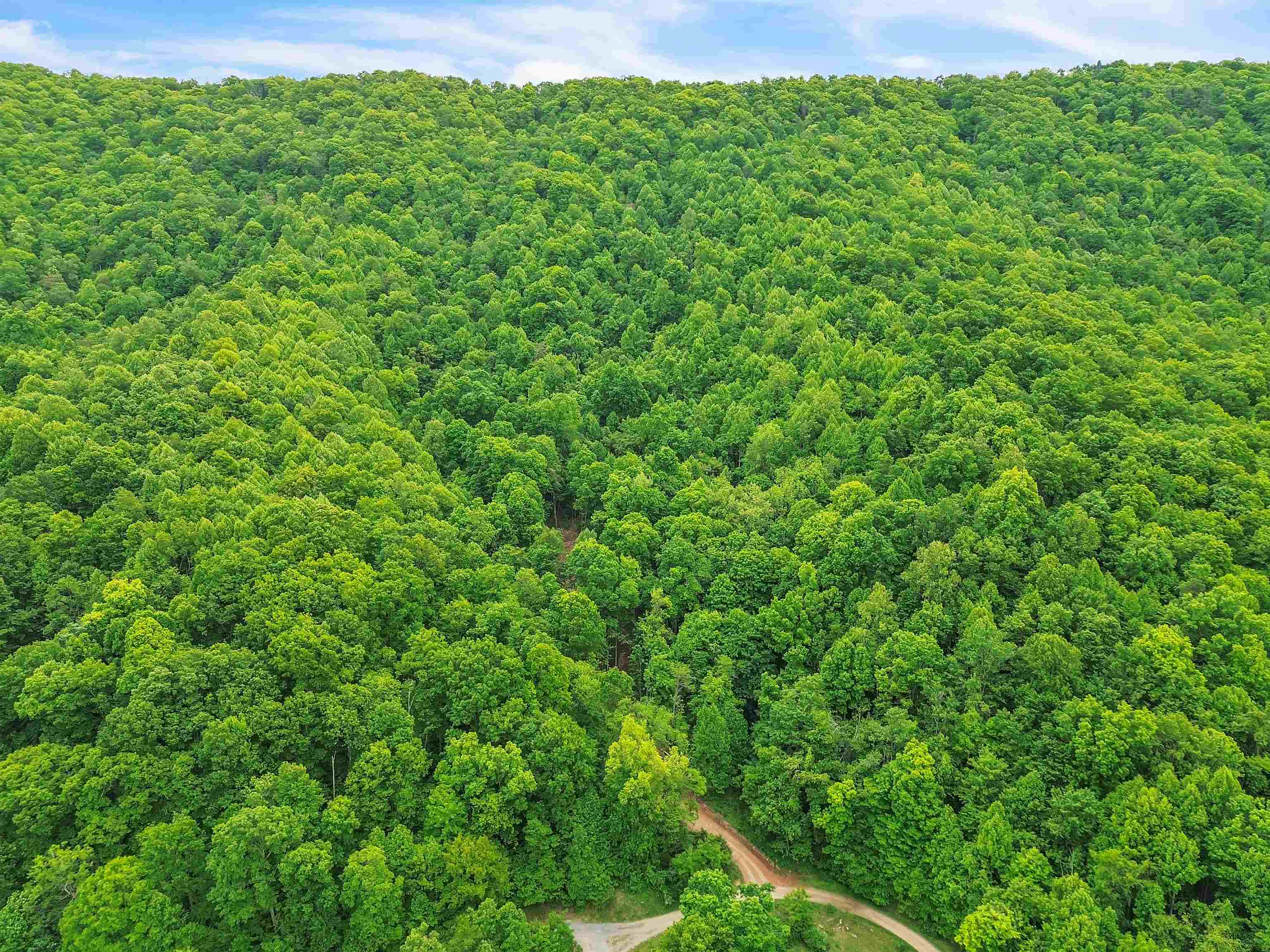 0 Ravens Ridge Road Pearisburg VA 24134