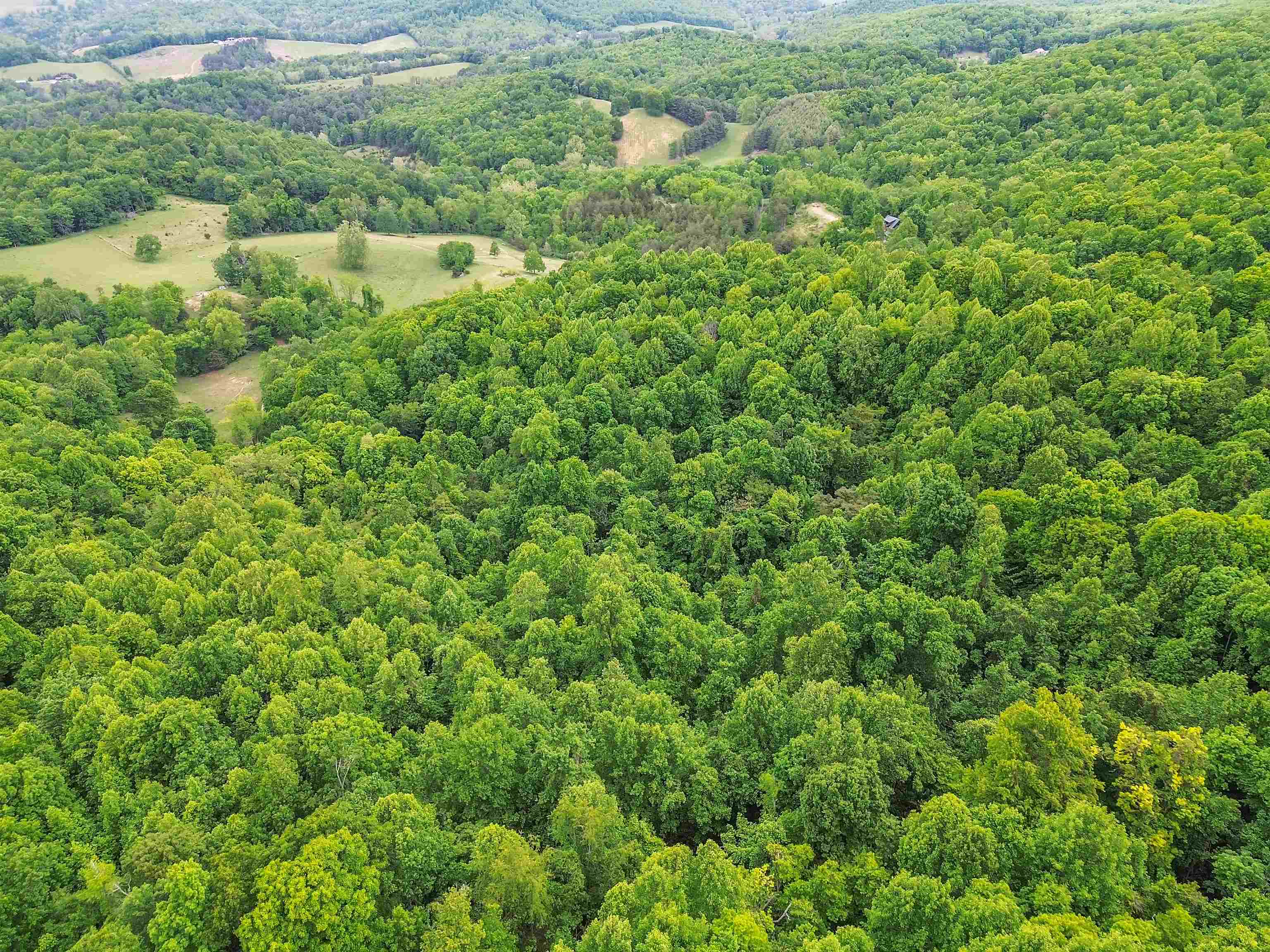 0 Ravens Ridge Road Pearisburg VA 24134