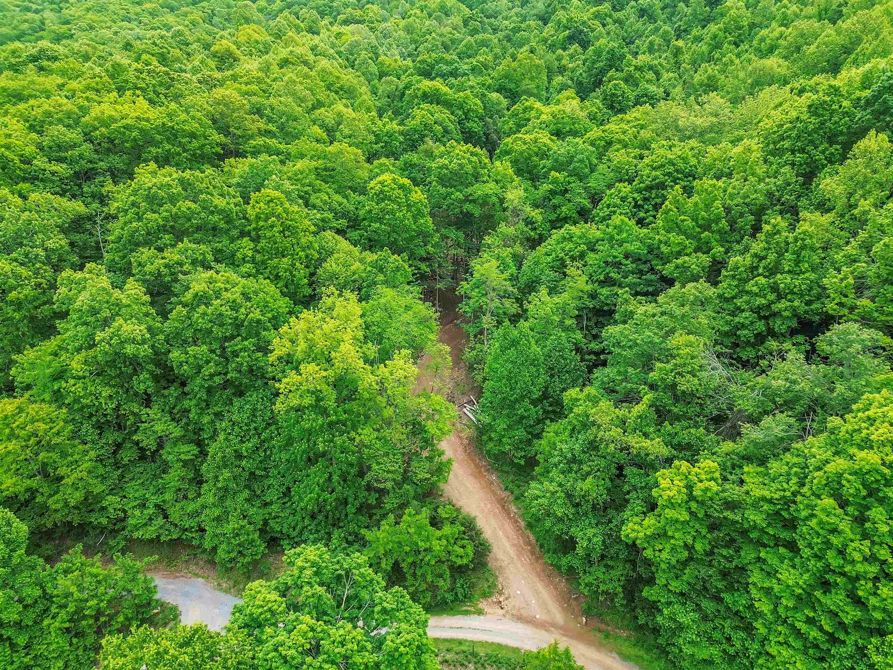 0 Ravens Ridge Road Pearisburg VA 24134