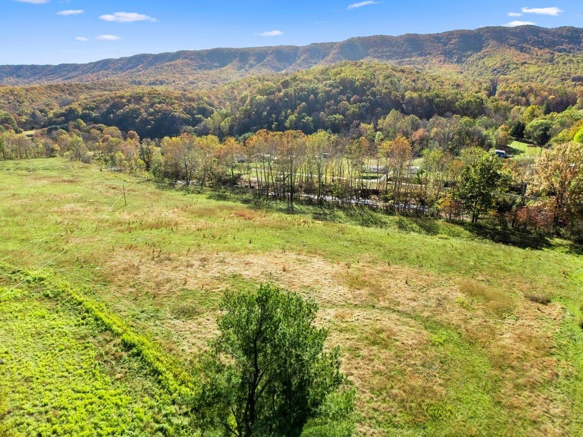 Tbd Old Wolf Creek Road Narrows VA 24124