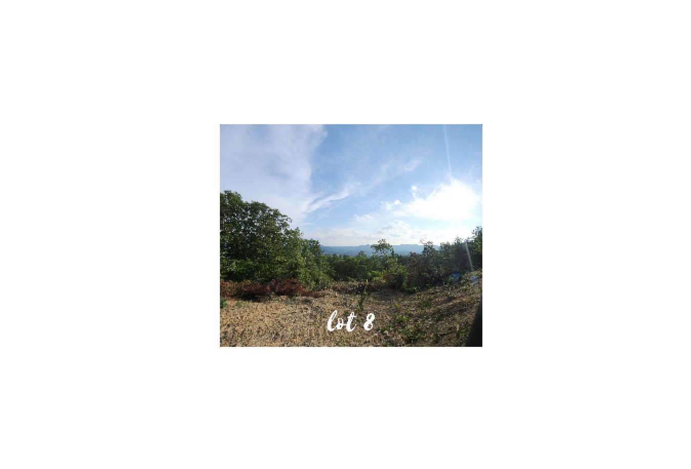 3141 Reese Mountain Road Elliston VA 24087
